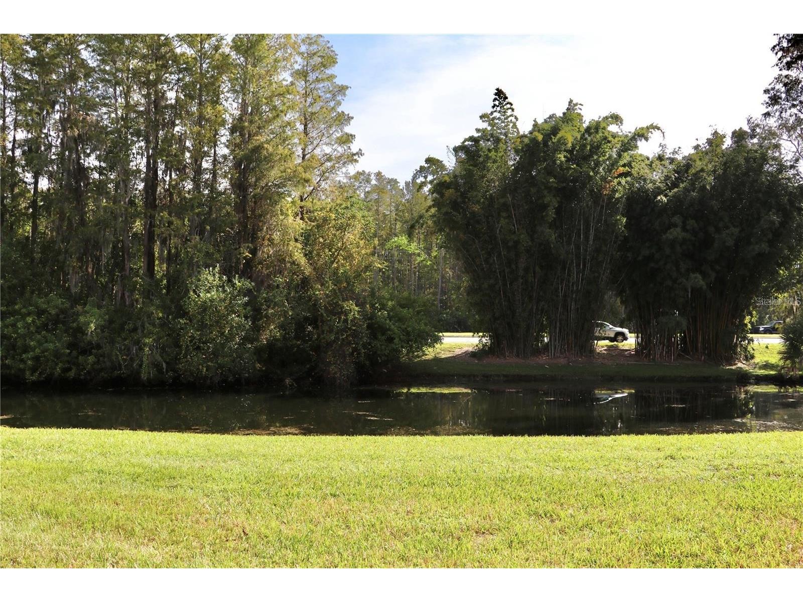 13548 Turtle Marsh Loop #413 Orlando FL 32837 S5148987 image29