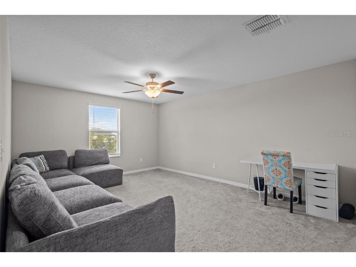 13549 Willow Bluestar Loop Riverview FL 33579 TB8453612 image25