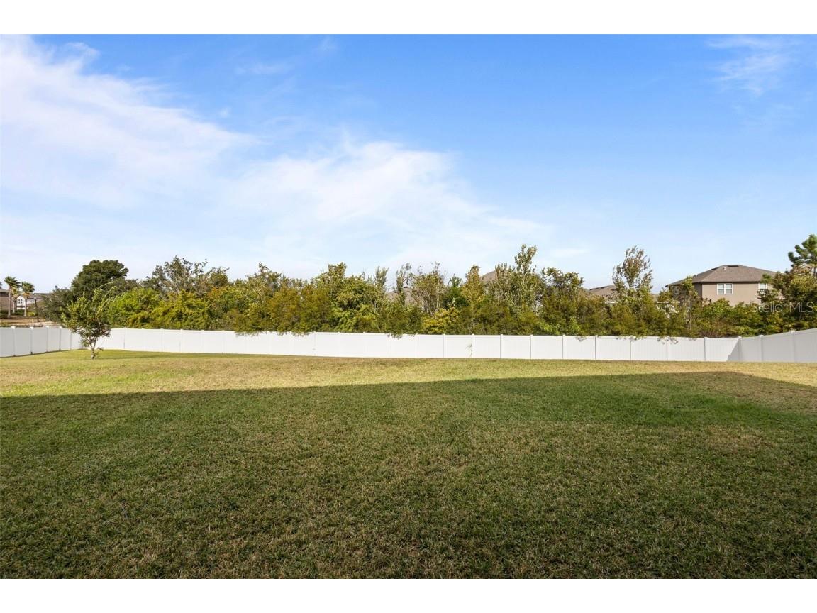 13549 Willow Bluestar Loop Riverview FL 33579 TB8453612 image29