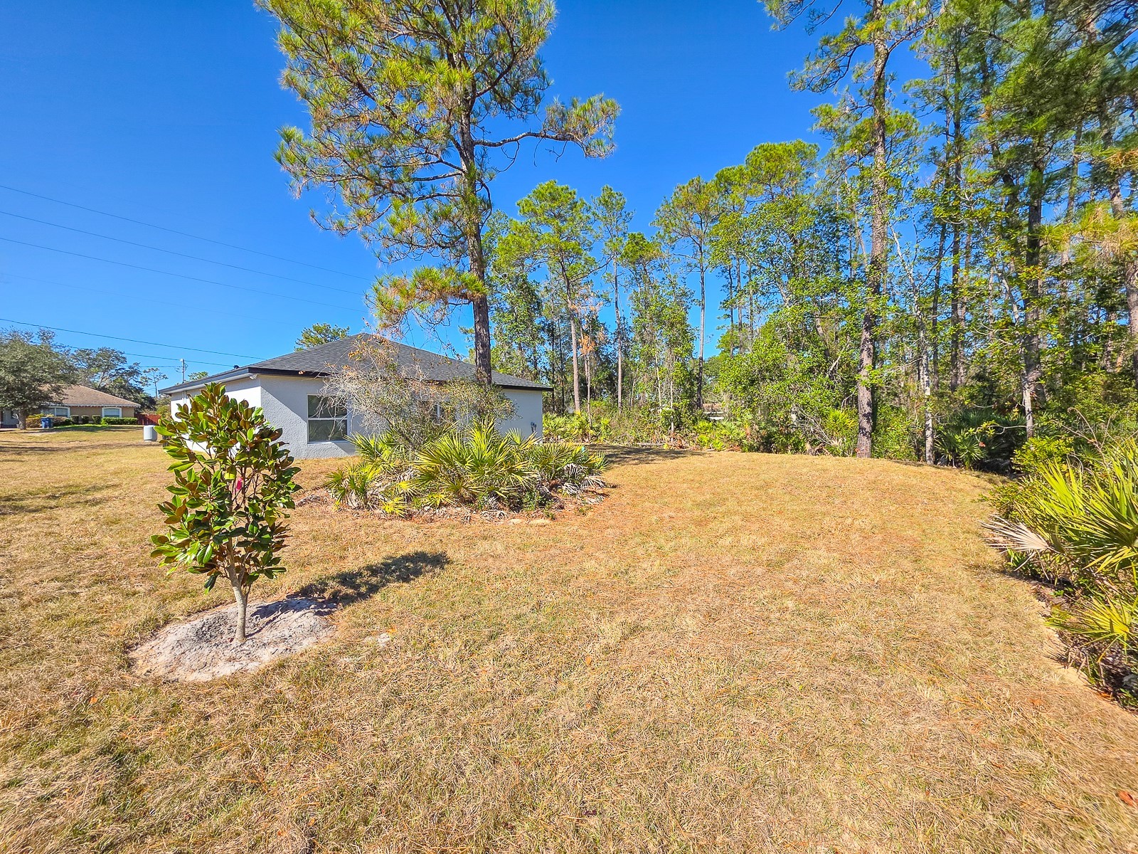 1355 9th Avenue Deland FL 32724 NS1087113 image40