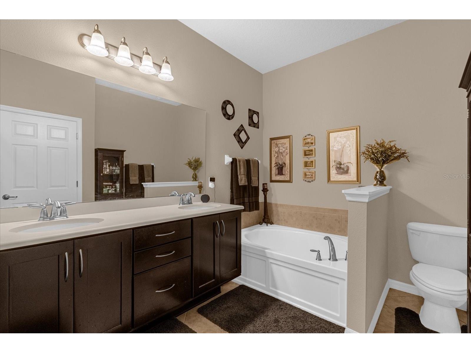 1355 Alston Bay Boulevard Apopka FL 32703 O6393516 image11