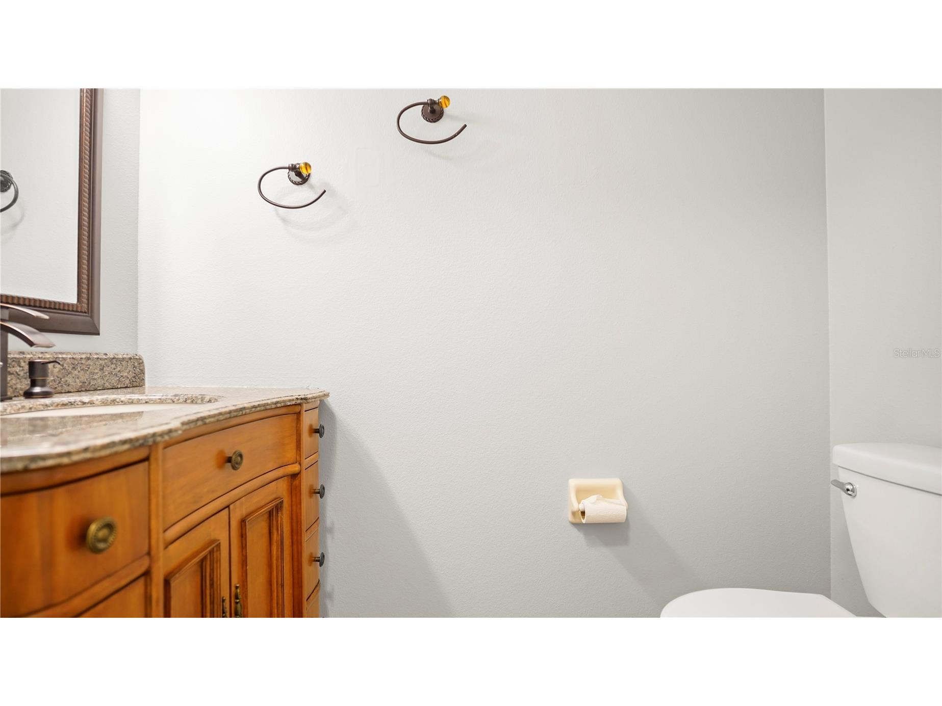 1355 Edison Tree Road Apopka FL 32712 O6425487 image55