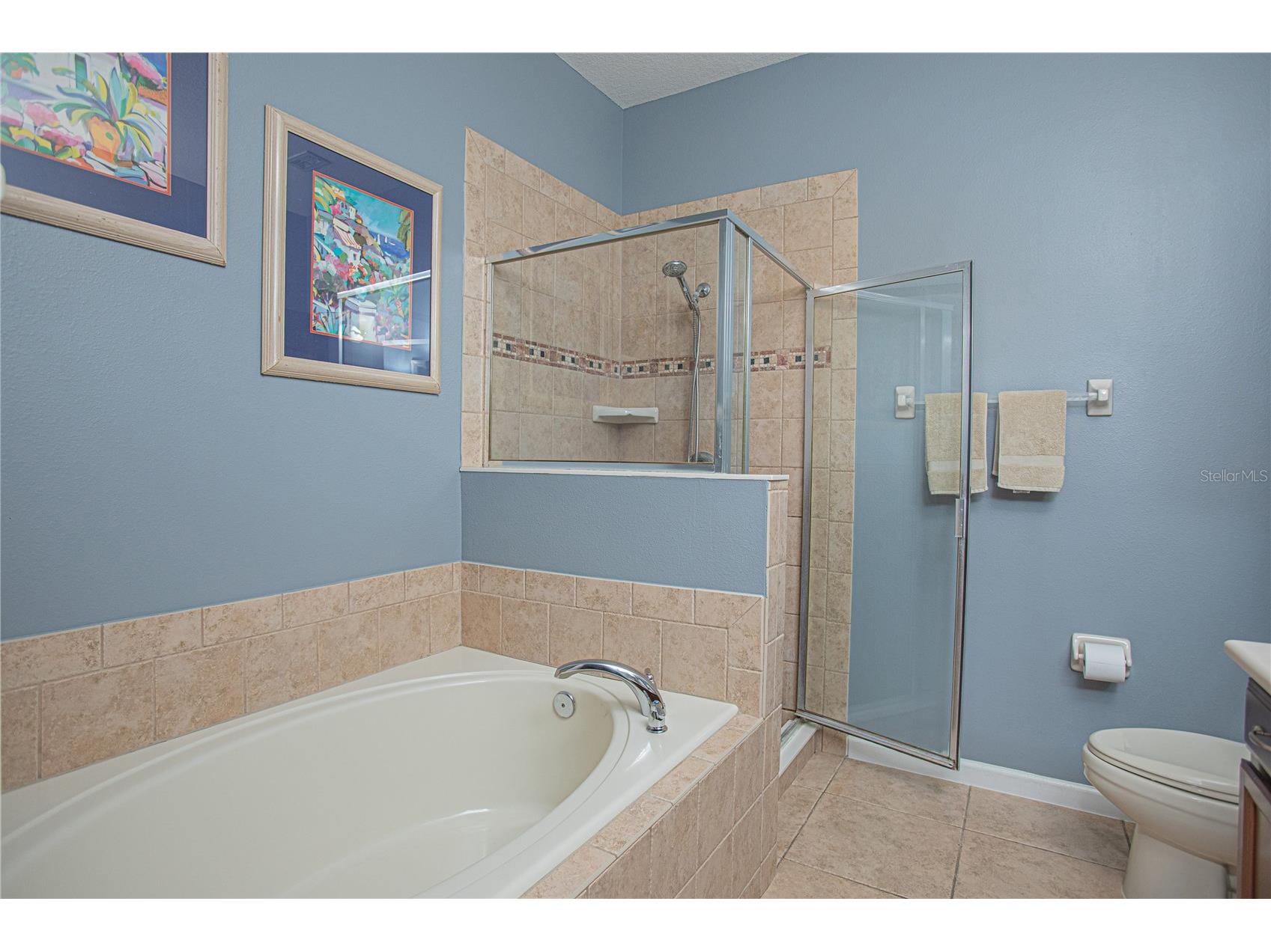 1355 Honey Blossom Drive Orlando FL 32824 O6405087 image22