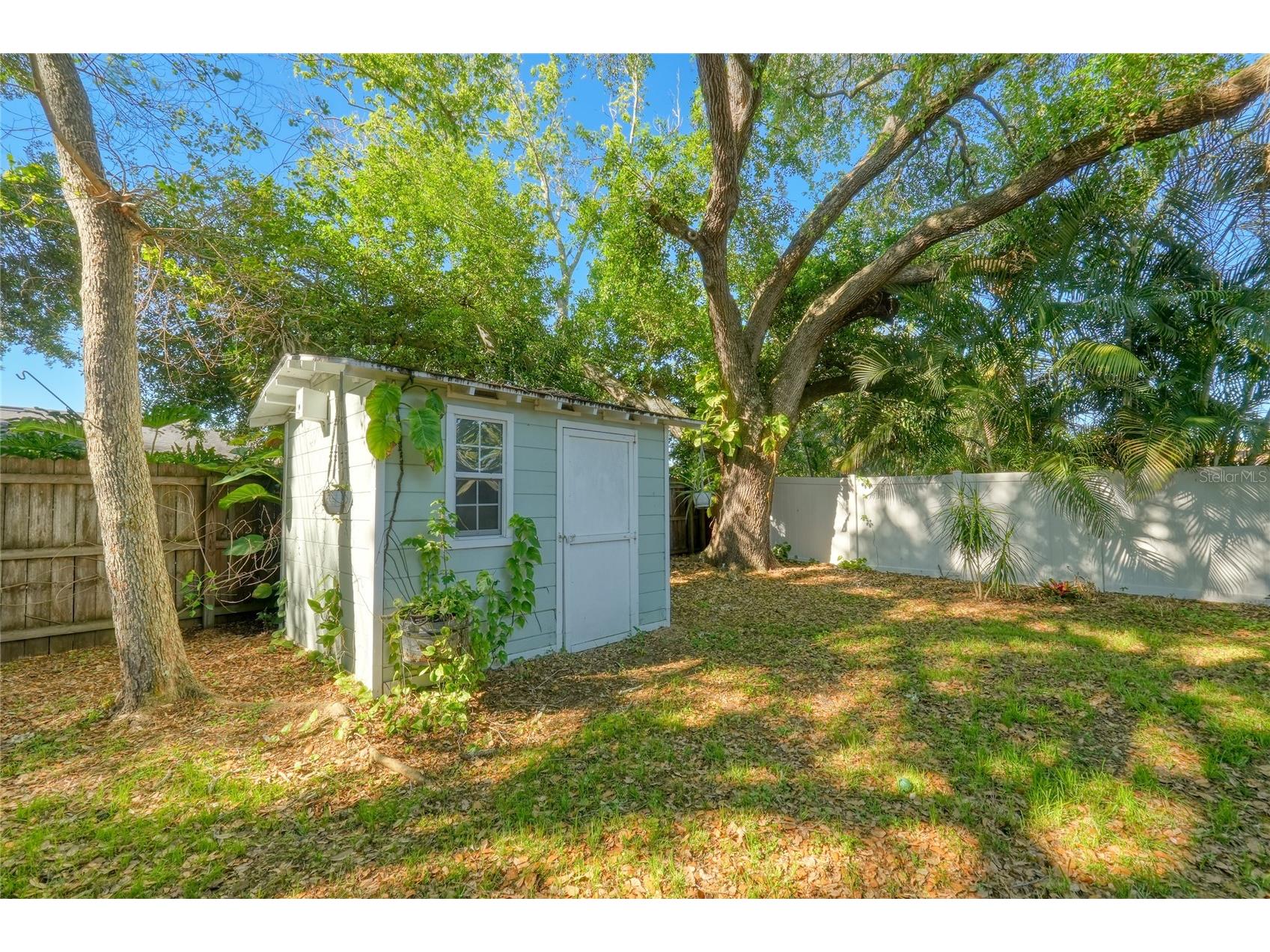 1355 Sage Drive Dunedin FL 34698 O6393552 image7