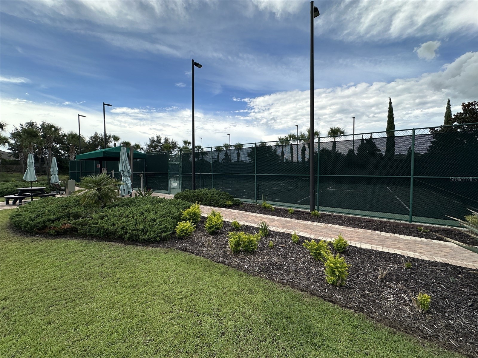 1355 Zeek Ridge Street Clermont FL 34715 O6421993 image23