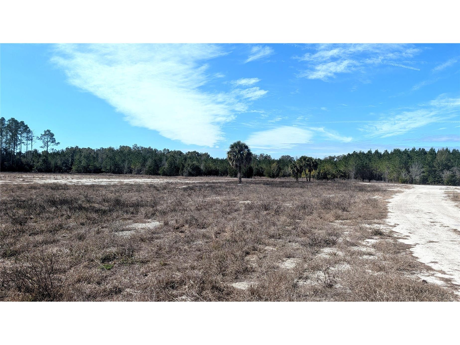 13550 NW Old Fannin Road Chiefland FL 32626 OM717918 image10