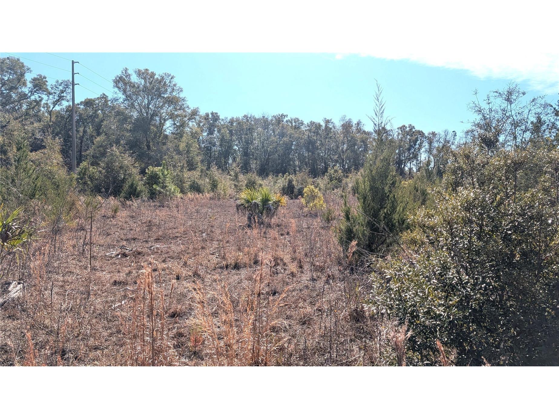 13550 NW Old Fannin Road Chiefland FL 32626 OM717918 image11