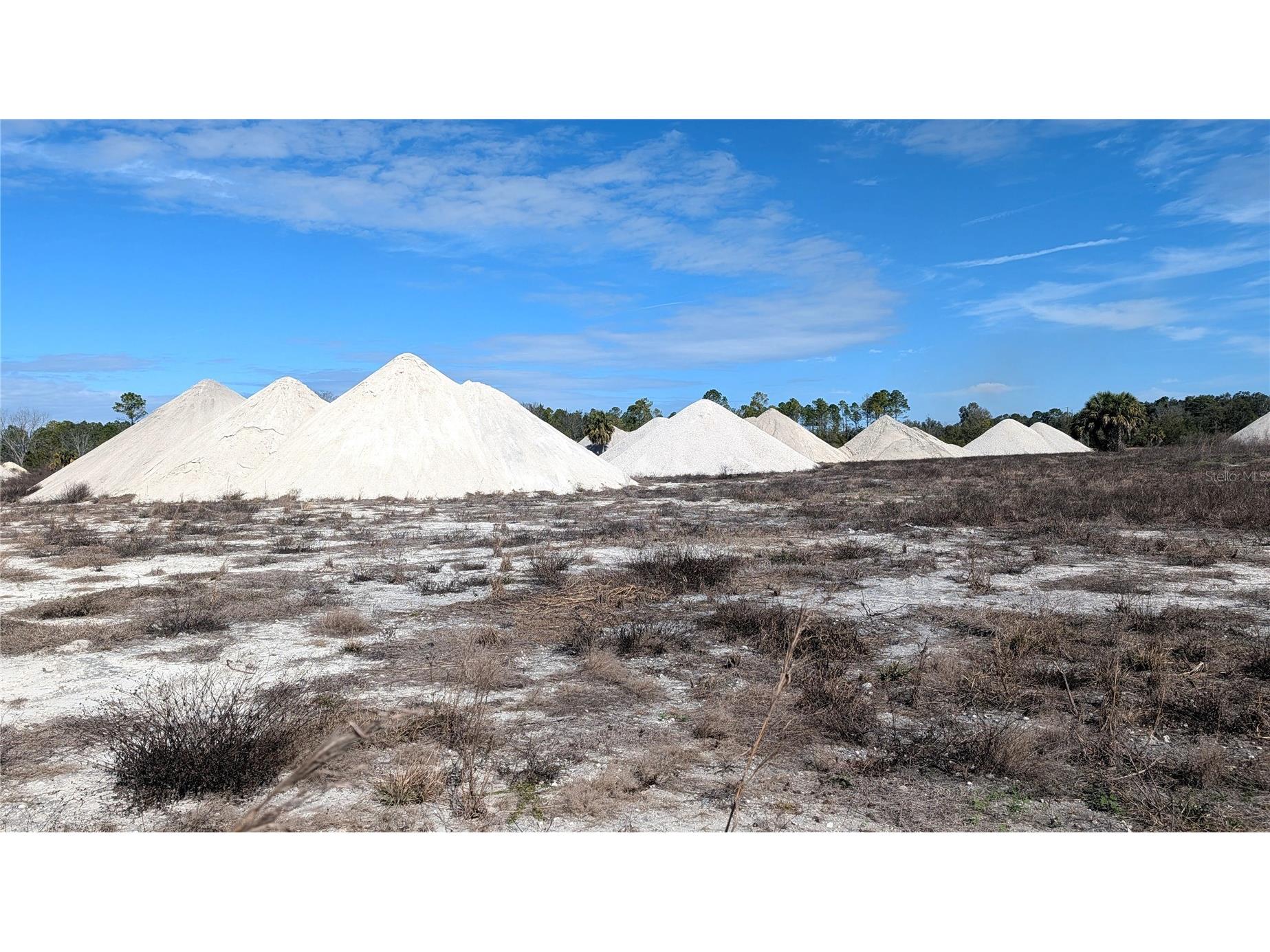 13550 NW Old Fannin Road Chiefland FL 32626 OM717918 image12