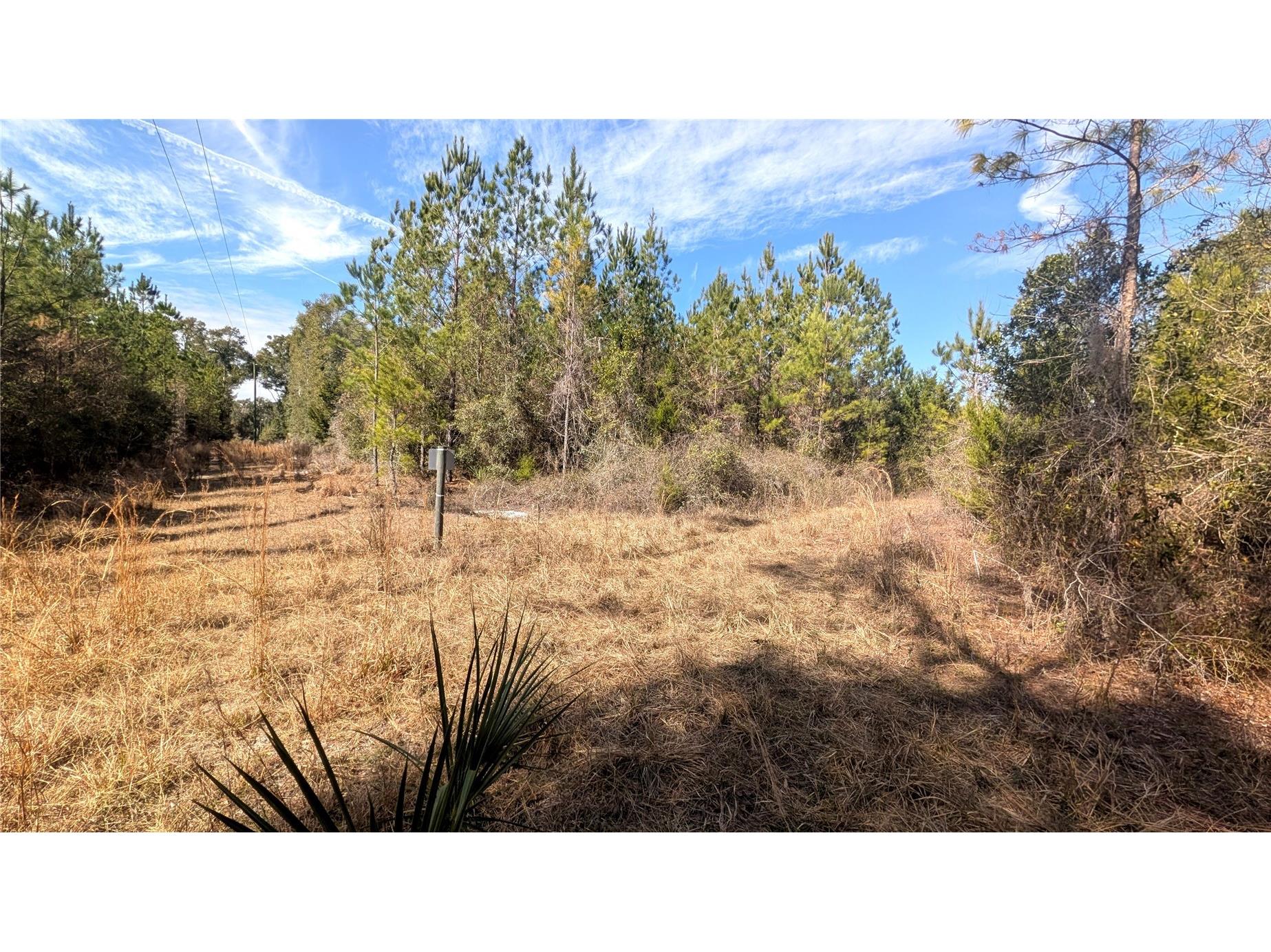 13550 NW Old Fannin Road Chiefland FL 32626 OM717918 image13