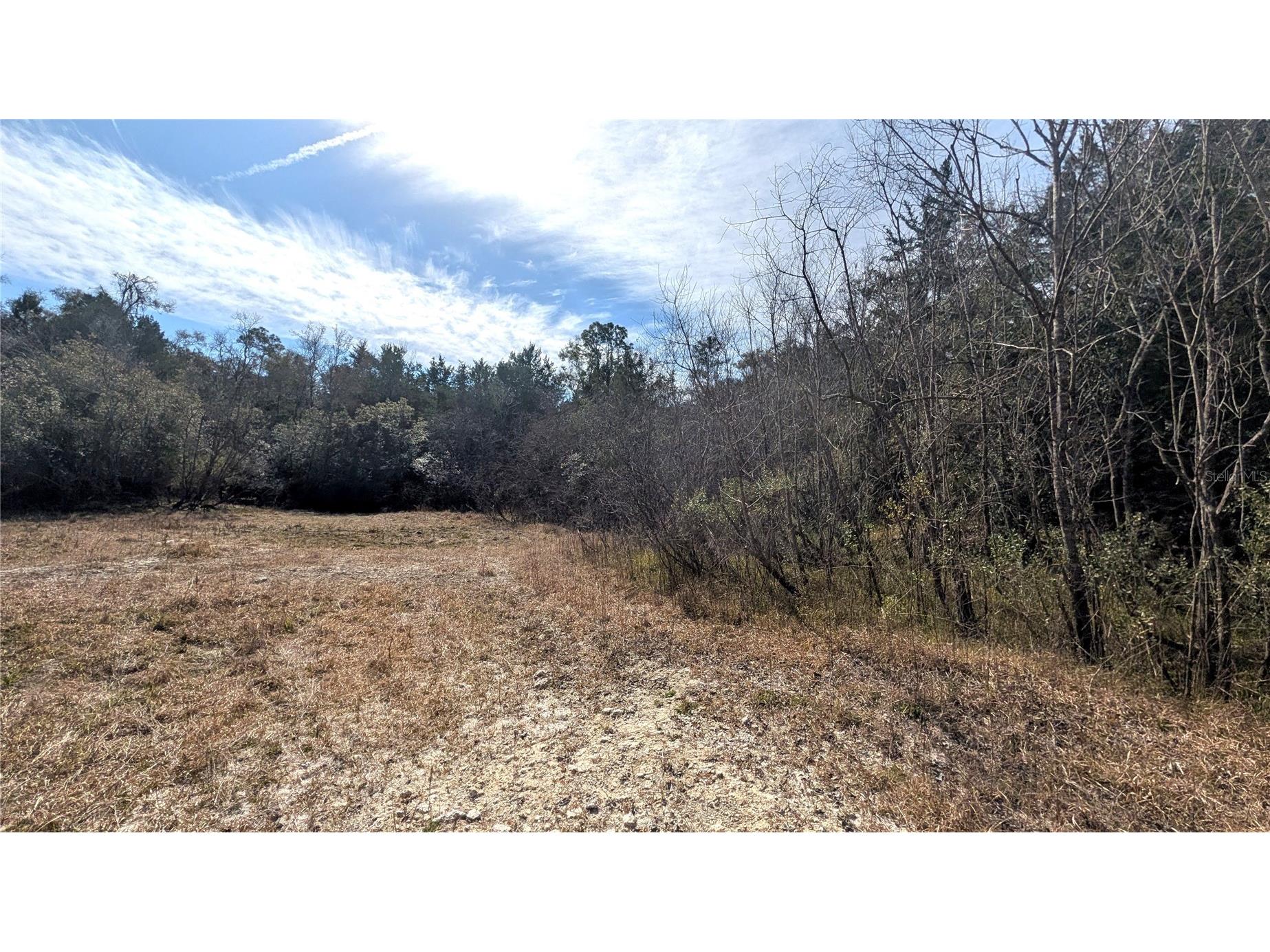 13550 NW Old Fannin Road Chiefland FL 32626 OM717918 image14