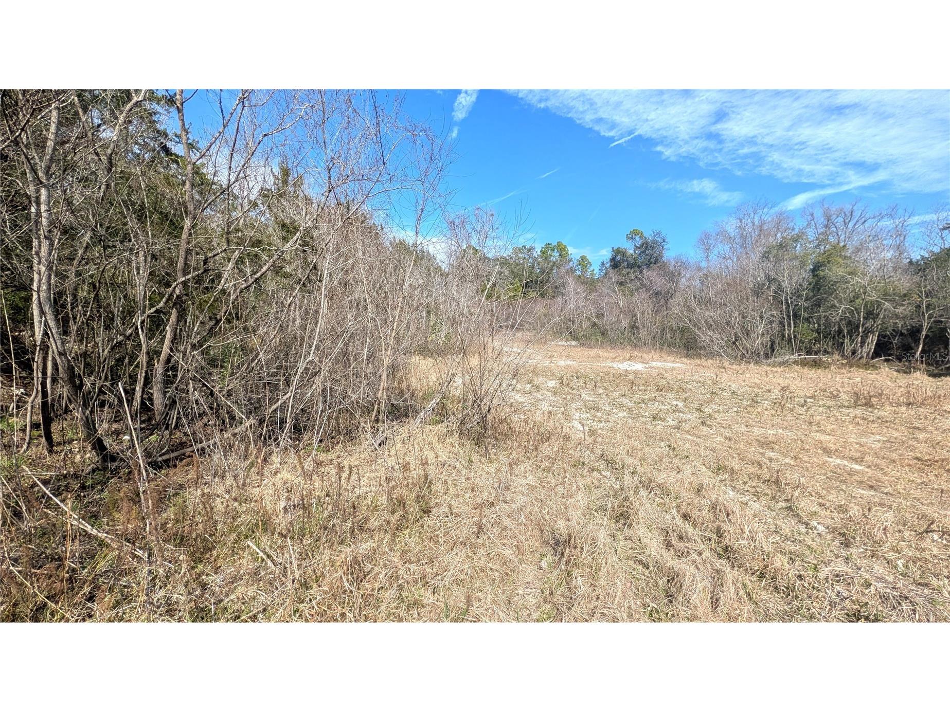 13550 NW Old Fannin Road Chiefland FL 32626 OM717918 image15