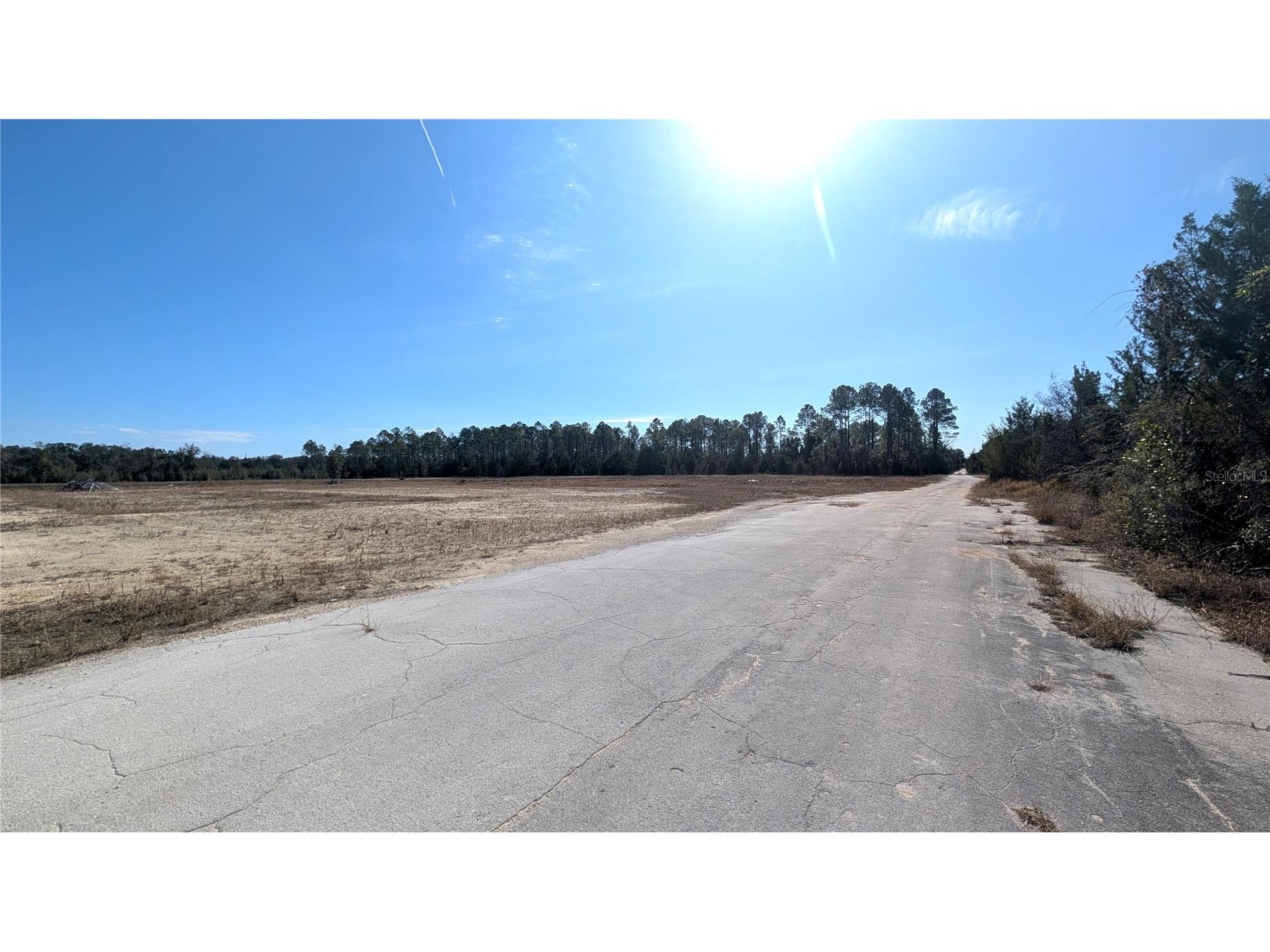13550 NW Old Fannin Road Chiefland FL 32626 OM717918 image4
