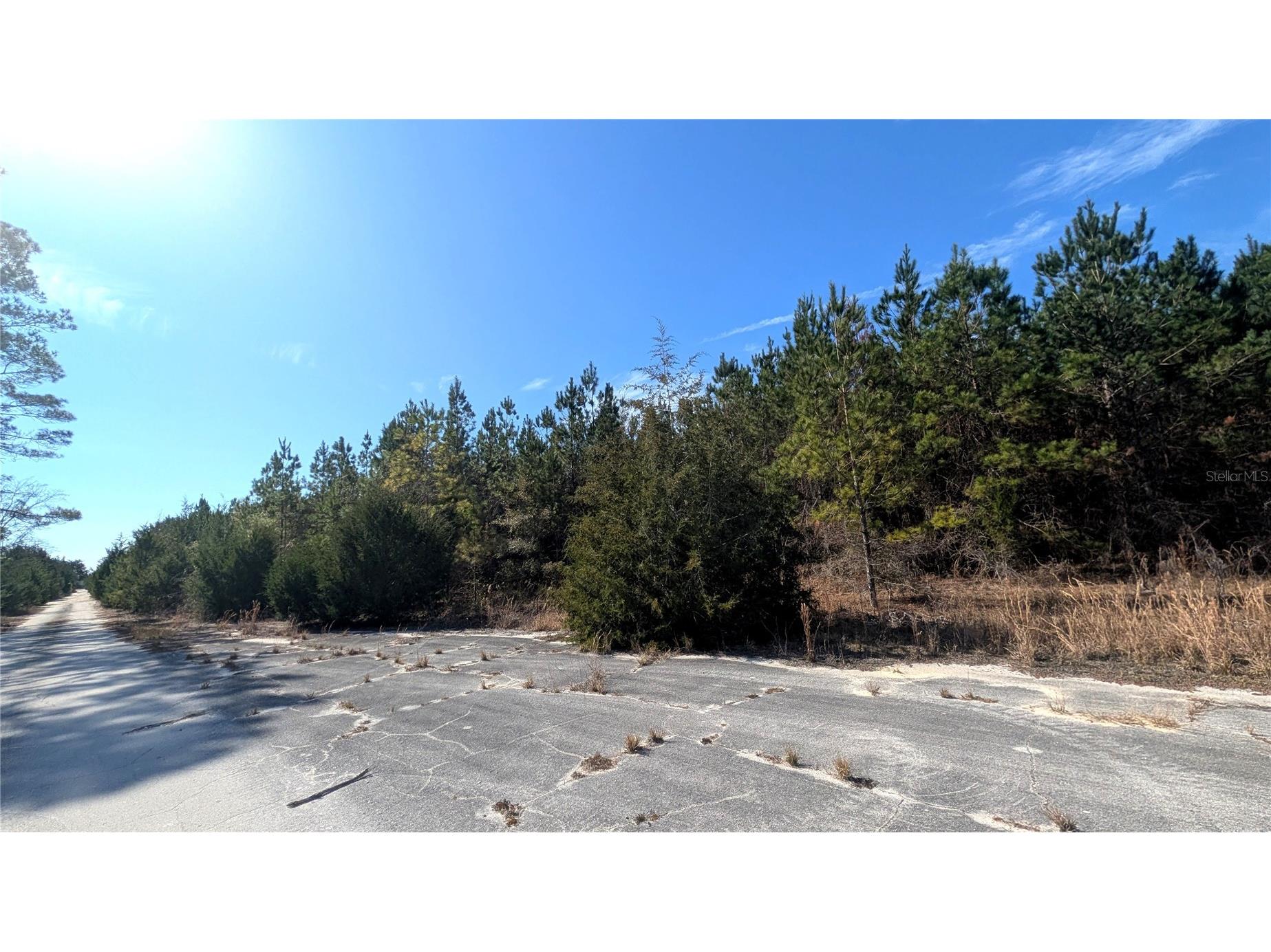 13550 NW Old Fannin Road Chiefland FL 32626 OM717918 image5