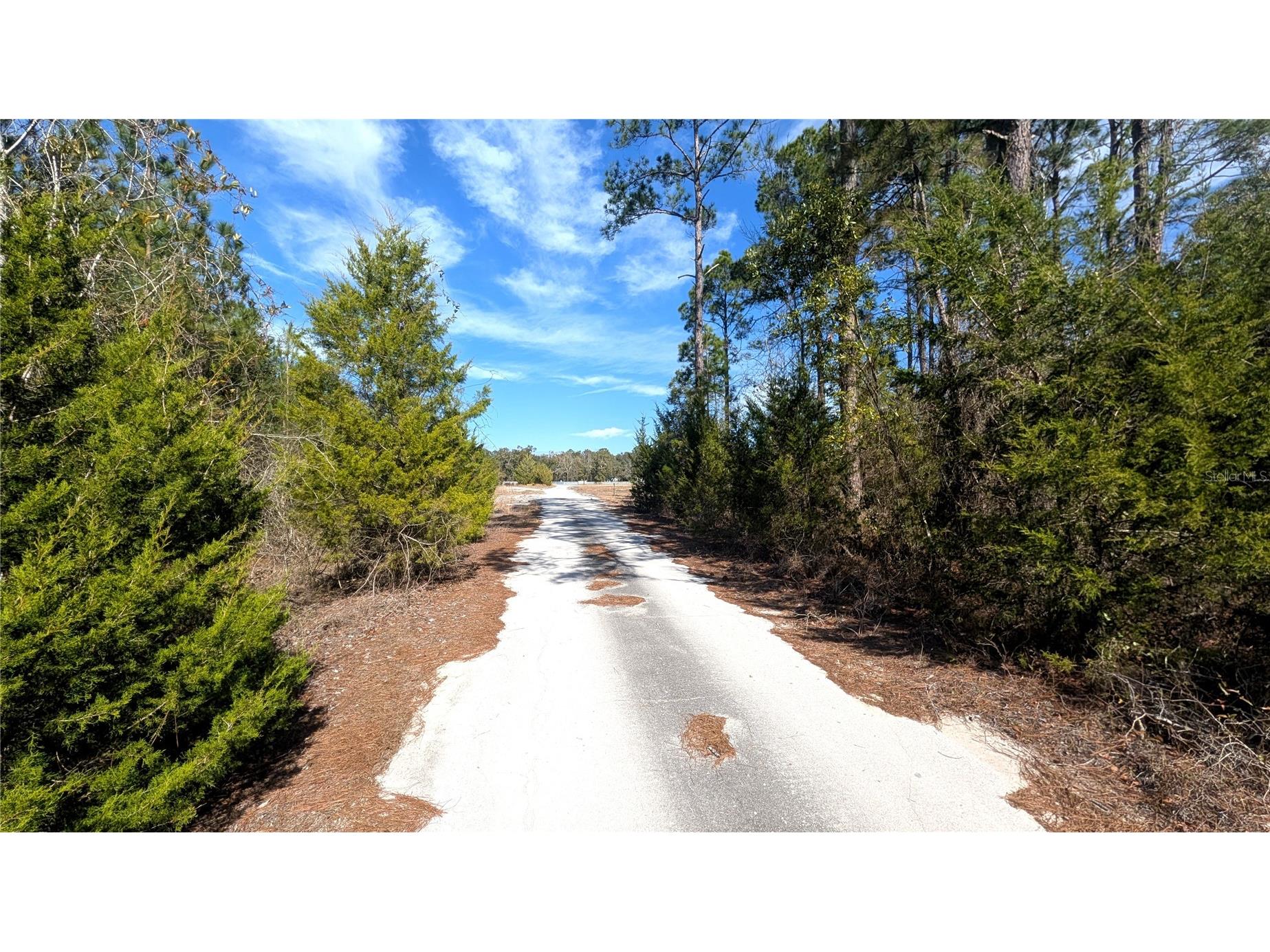13550 NW Old Fannin Road Chiefland FL 32626 OM717918 image6