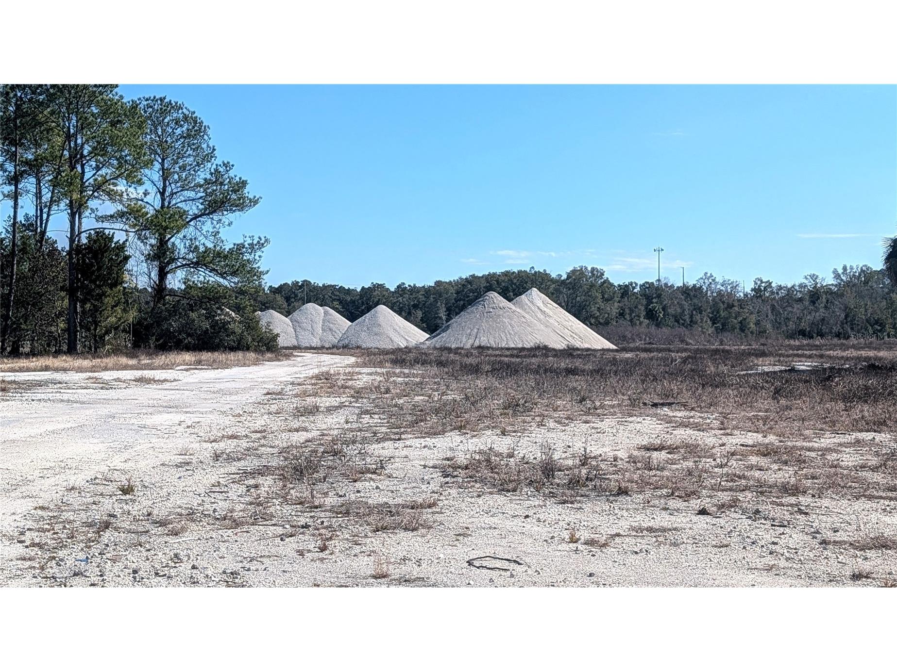 13550 NW Old Fannin Road Chiefland FL 32626 OM717918 image9