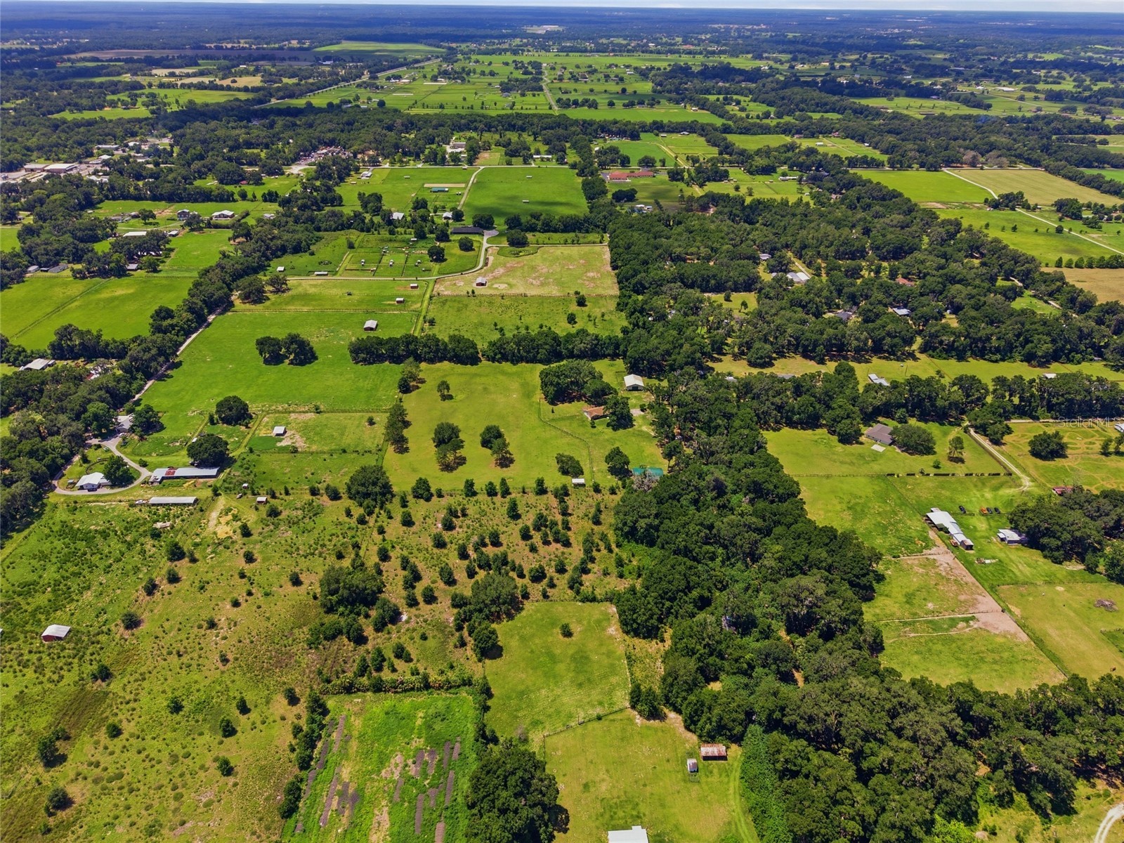 13551 NE 14th Avenue Citra FL 32113 OM724621 image60