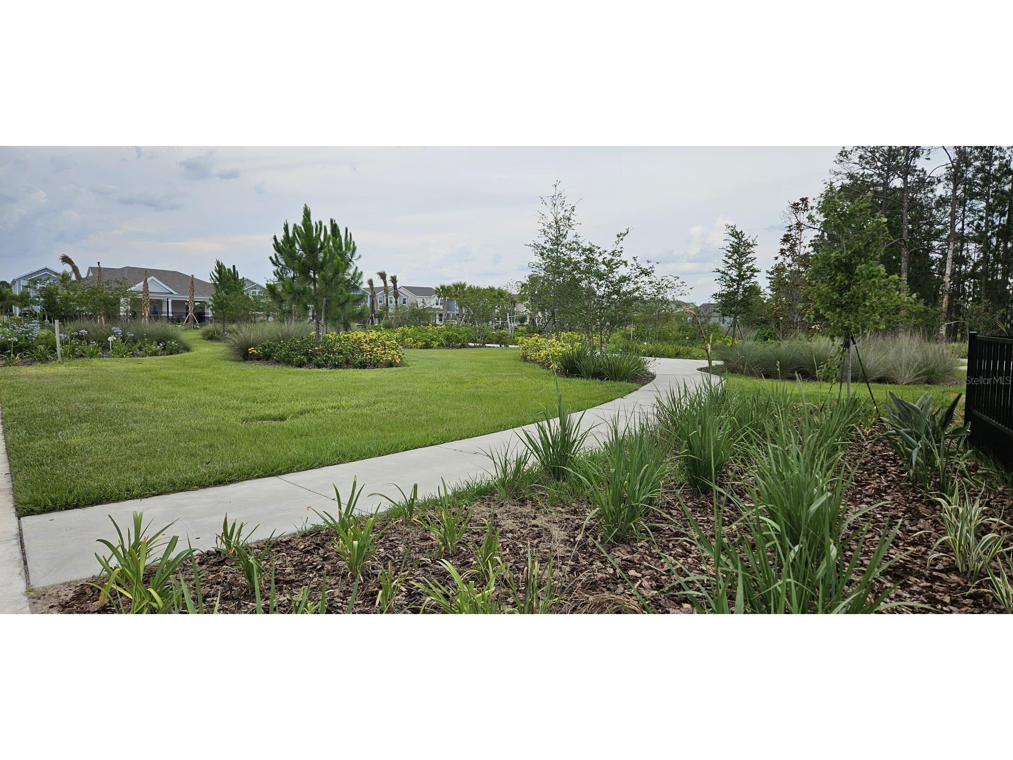 13552 Autumn Harvest Avenue Winter Garden FL 34787 O6404264 image26