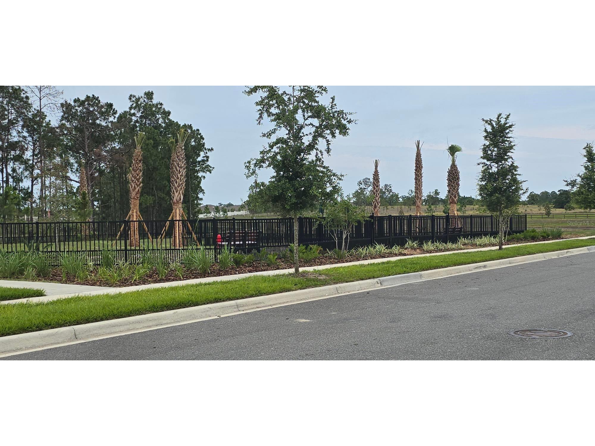 13552 Autumn Harvest Avenue Winter Garden FL 34787 O6404264 image30