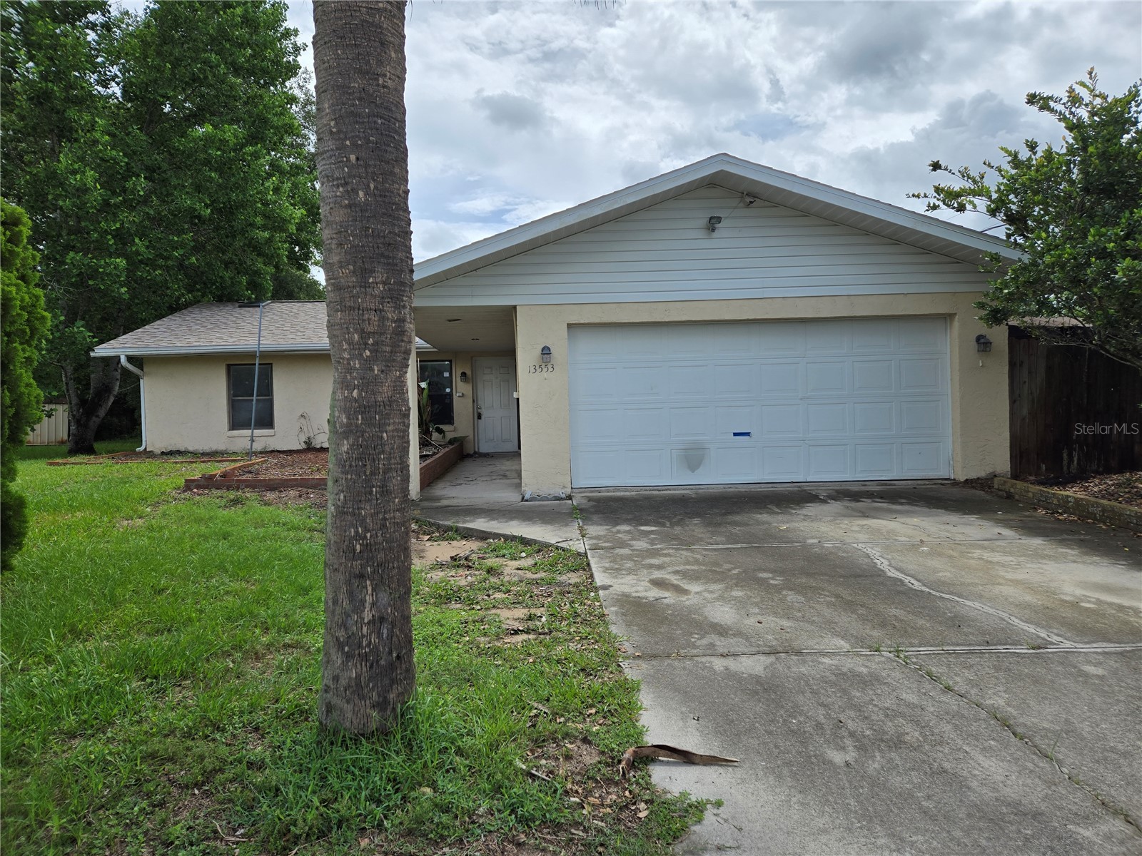 13553 SE 39th Terrace Summerfield FL 34491 OM725699 image1