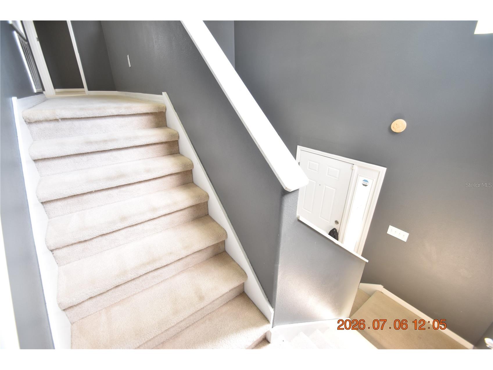 13556 Fladgate Mark Drive Riverview FL 33579 TB8526284 image28