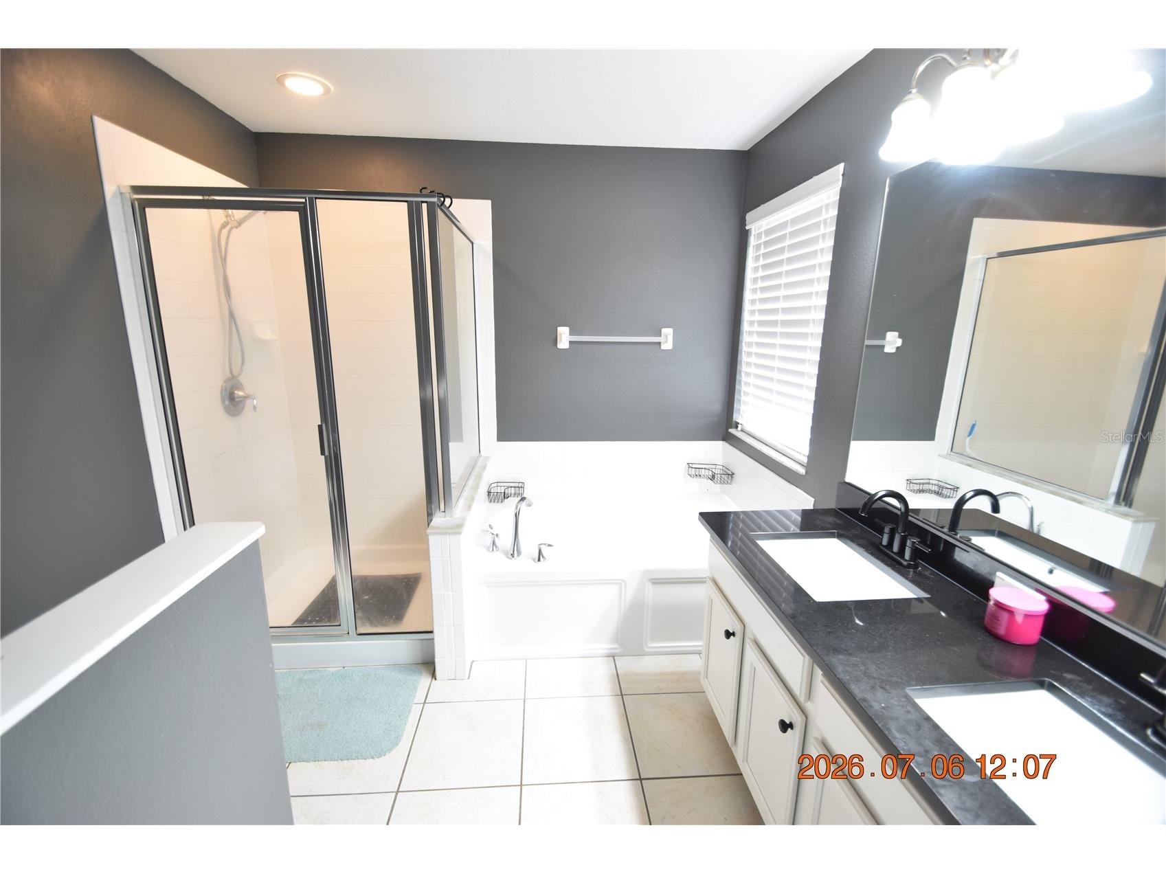 13556 Fladgate Mark Drive Riverview FL 33579 TB8526284 image35