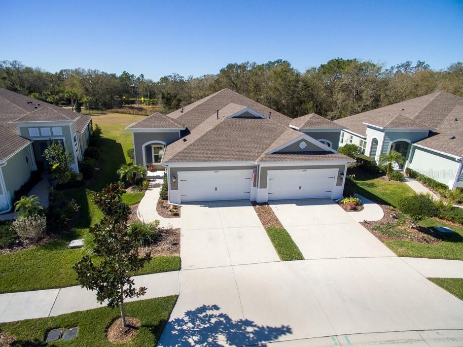 13558 Circa Crossing Drive Lithia FL 33547 T3428746 image1