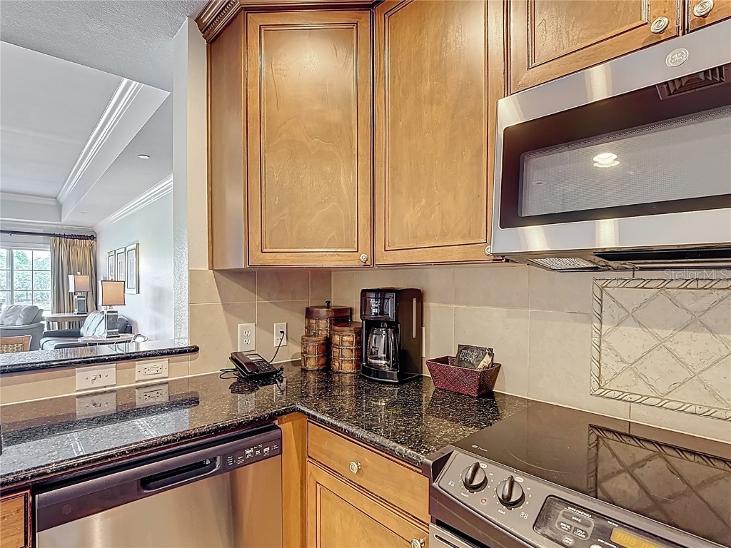 1356 Centre Court Ridge Drive #103 Reunion FL 34747 G5096235 image10