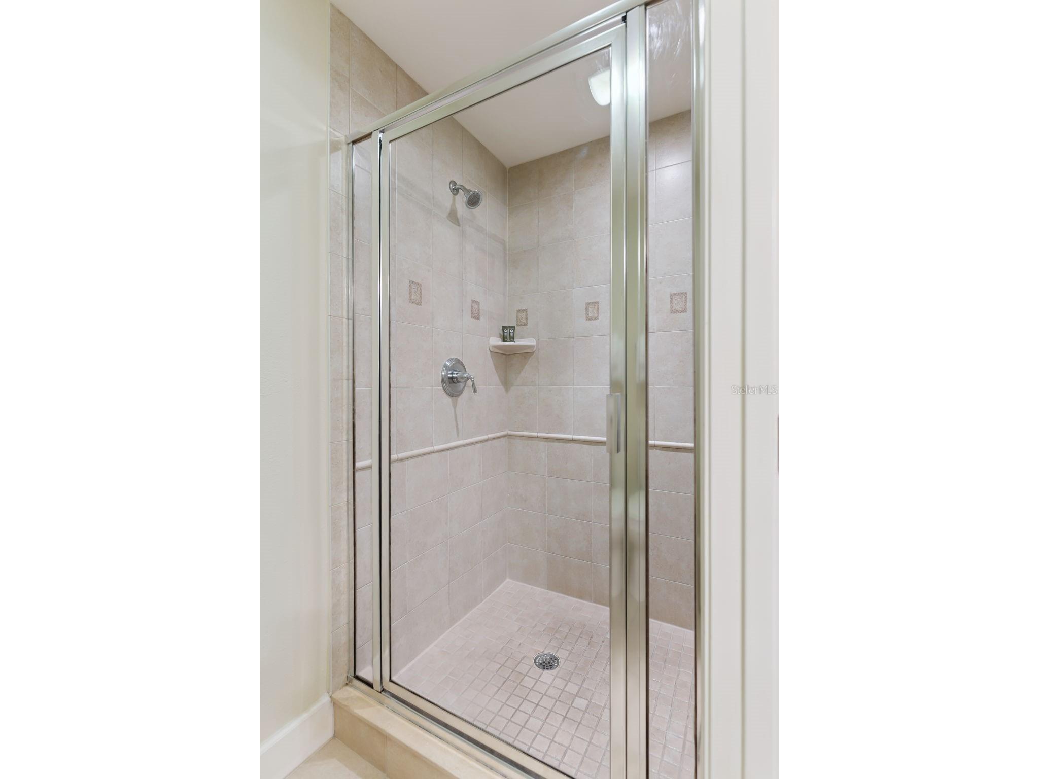 1356 Centre Court Ridge Drive #303 Kissimmee FL 34747 S5153768 image22