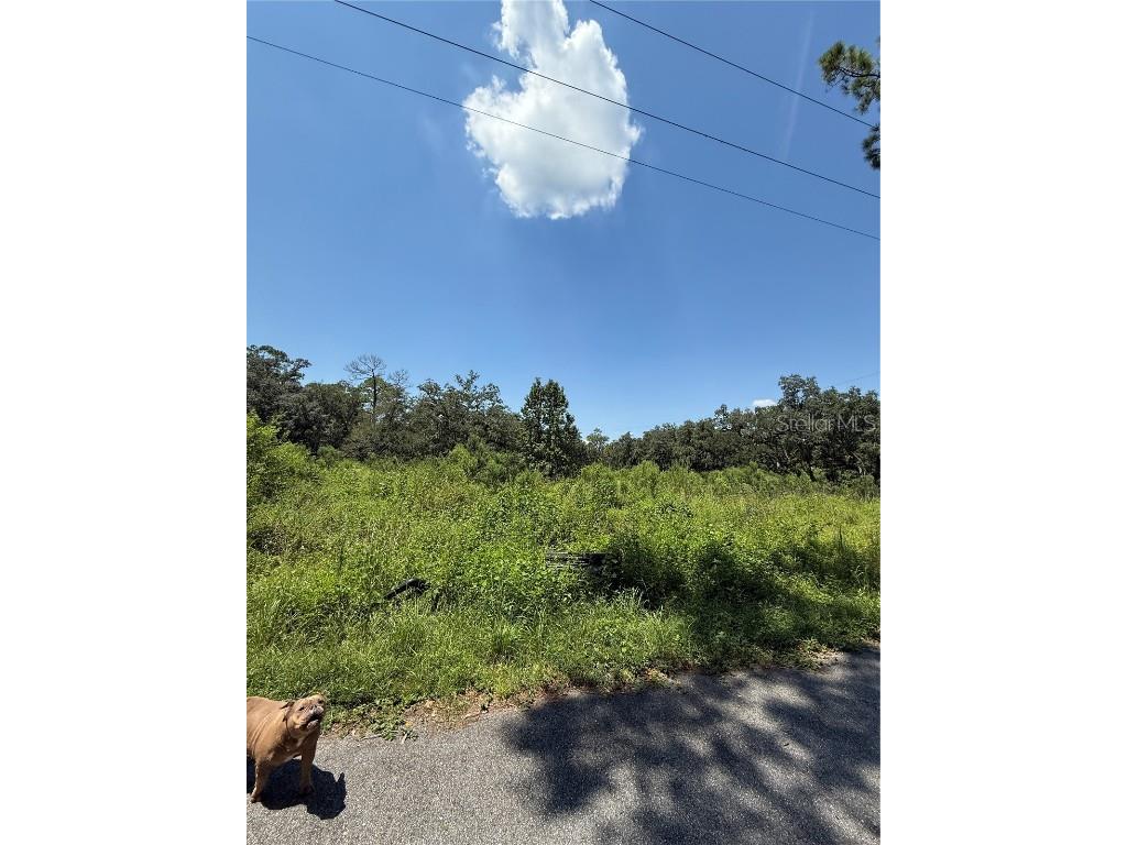 1356 Montzen Road Davenport FL 33896 O6339938 image1