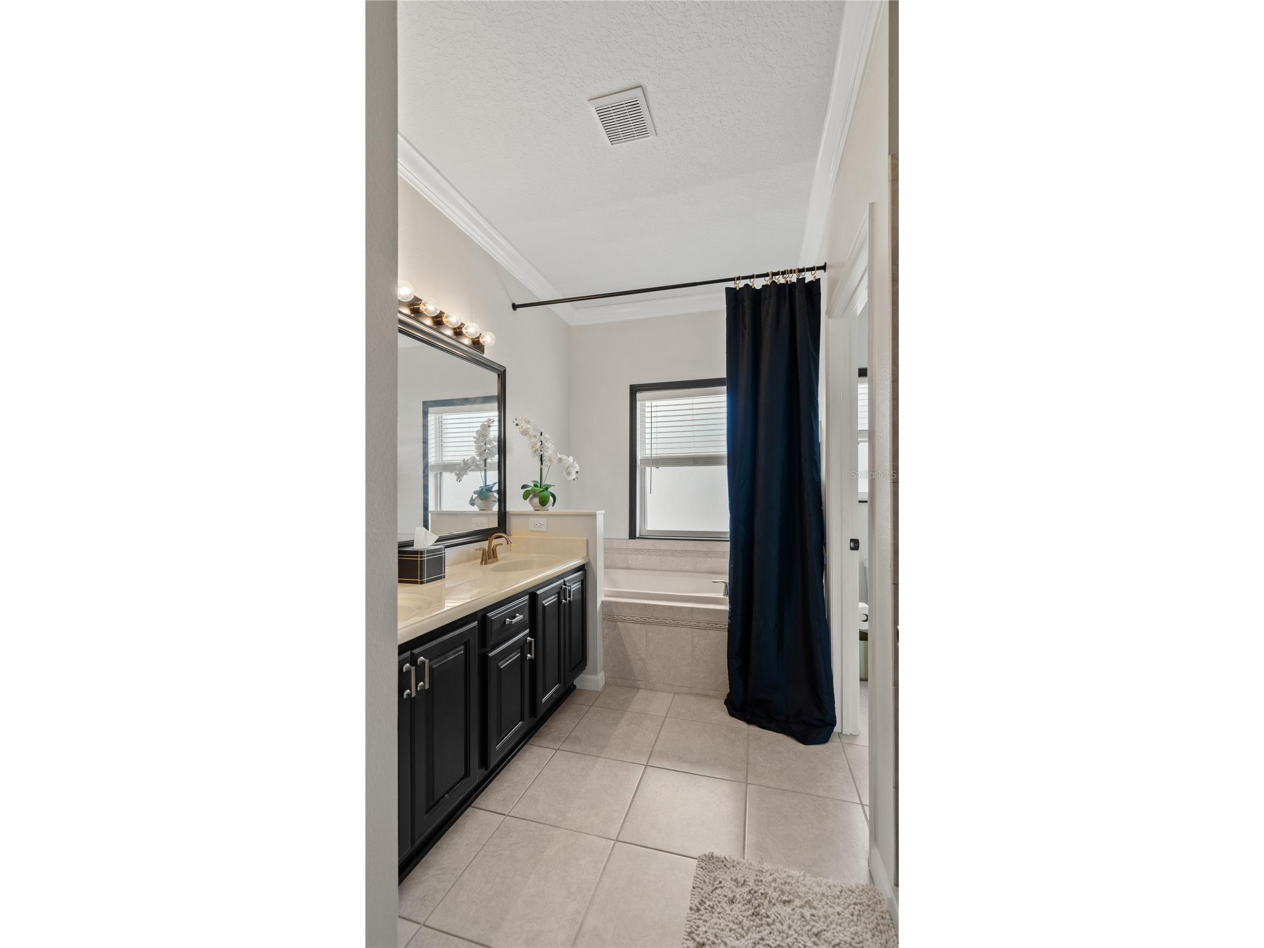 13560 Hawk Lake Drive Orlando FL 32837 O6377971 image24