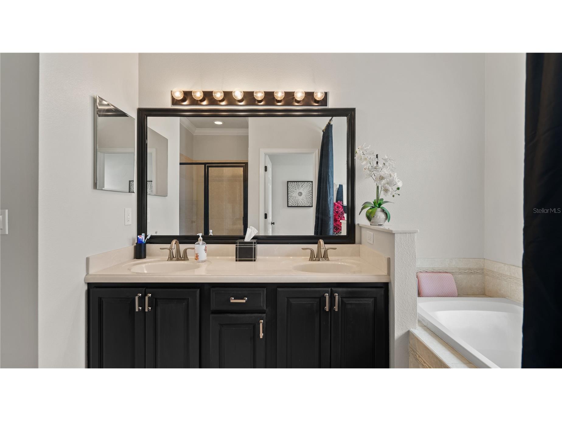 13560 Hawk Lake Drive Orlando FL 32837 O6377971 image28