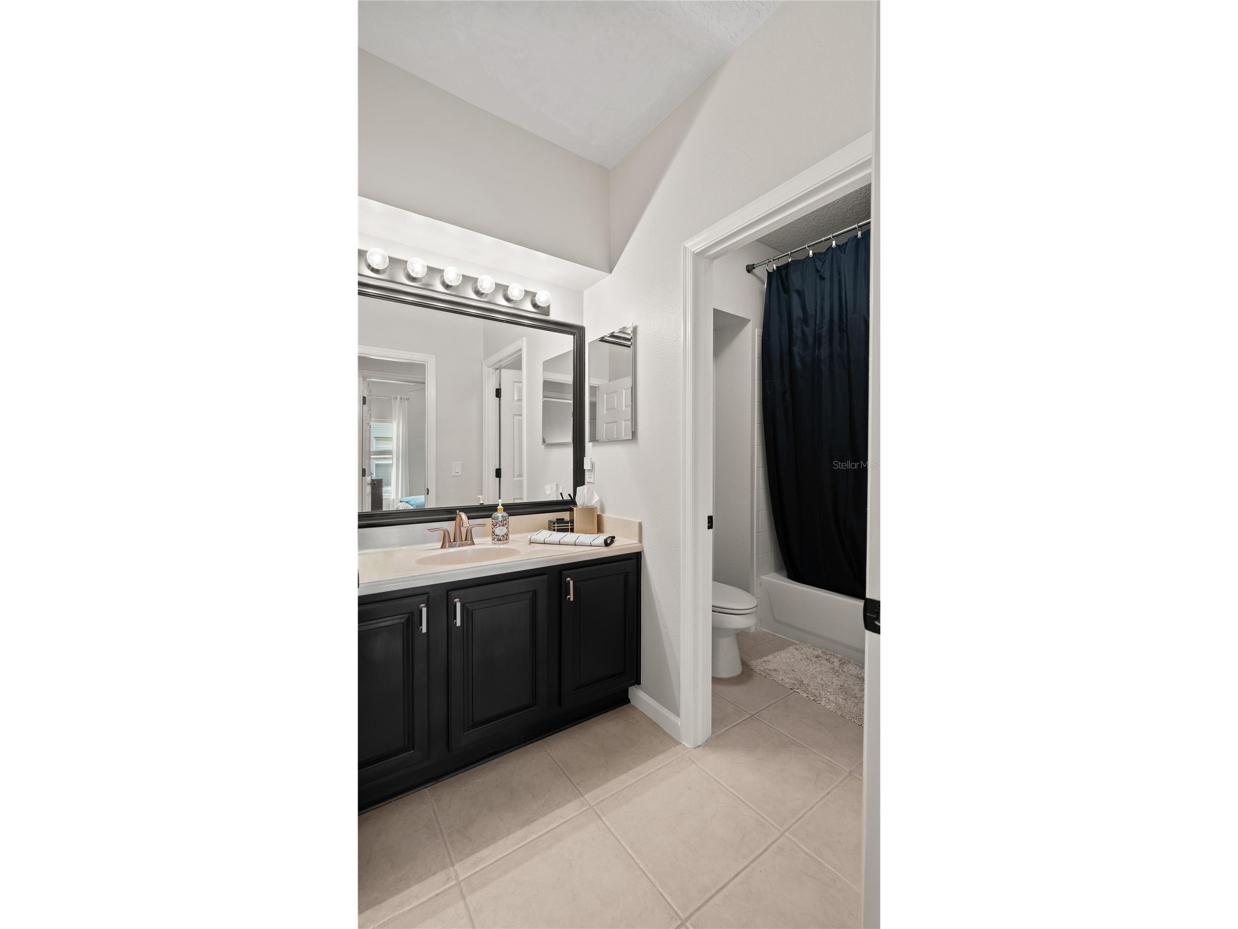 13560 Hawk Lake Drive Orlando FL 32837 O6377971 image32