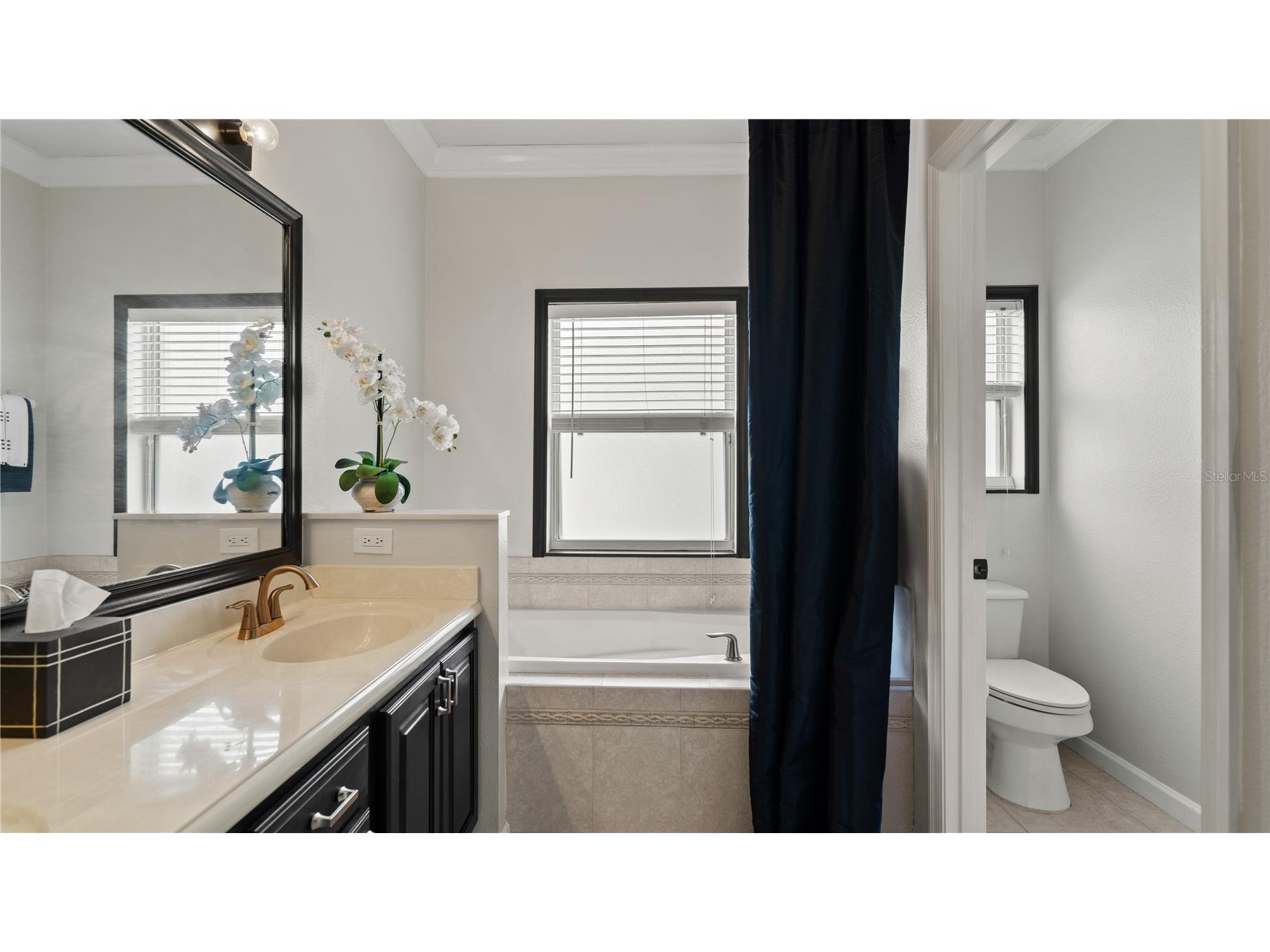 13560 Hawk Lake Drive Orlando FL 32837 O6377971 image36