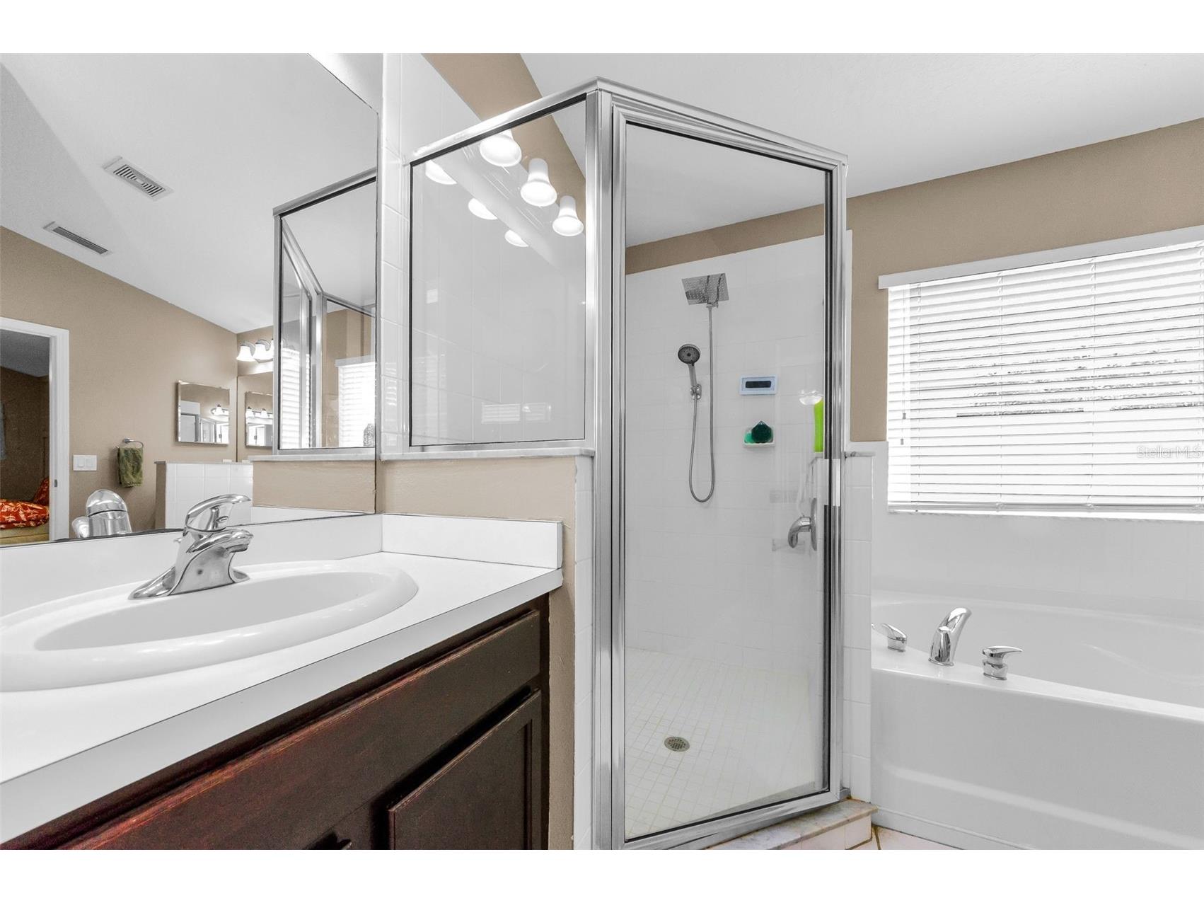 13561 Fladgate Mark Drive Riverview FL 33579 TB8429762 image25