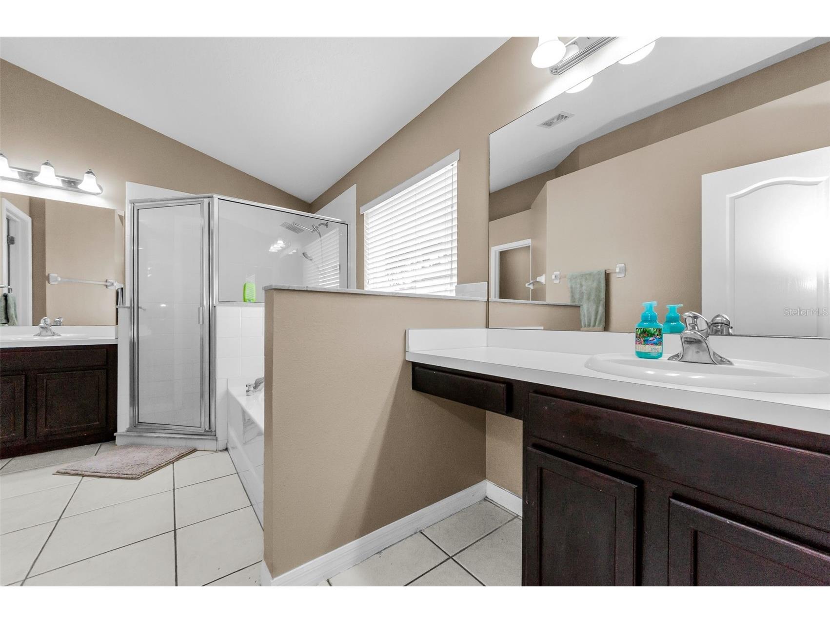 13561 Fladgate Mark Drive Riverview FL 33579 TB8429762 image27