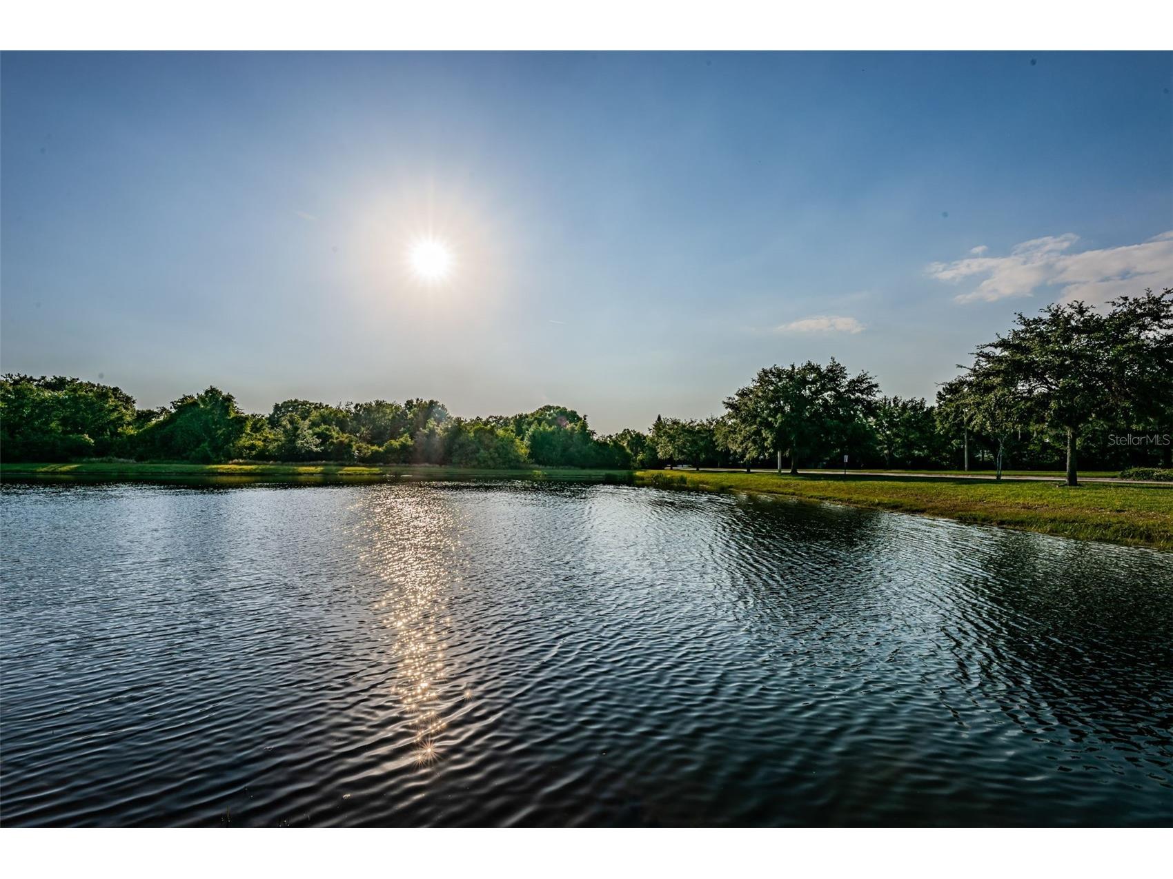 13561 Fladgate Mark Drive Riverview FL 33579 TB8429762 image36