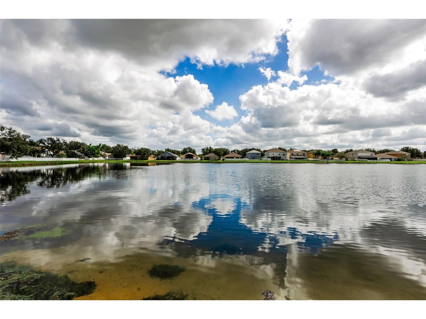 13561 Fladgate Mark Drive Riverview FL 33579 TB8429762 image37