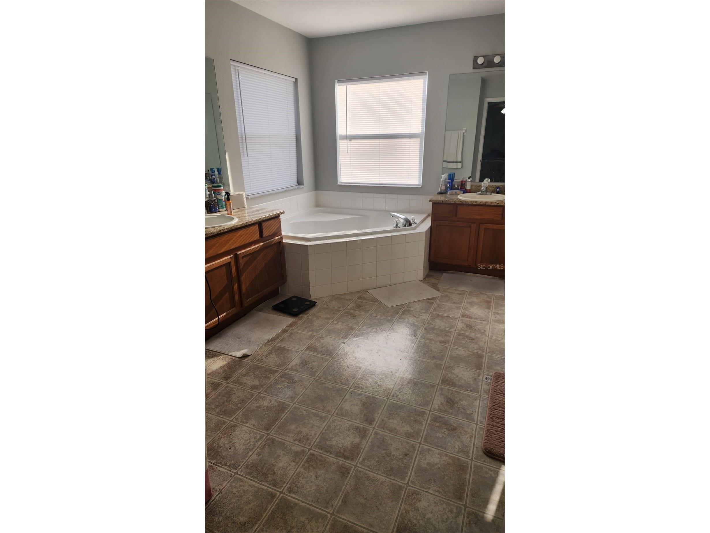 13561 Hawk Lake Drive Orlando FL 32837 S5151812 image17