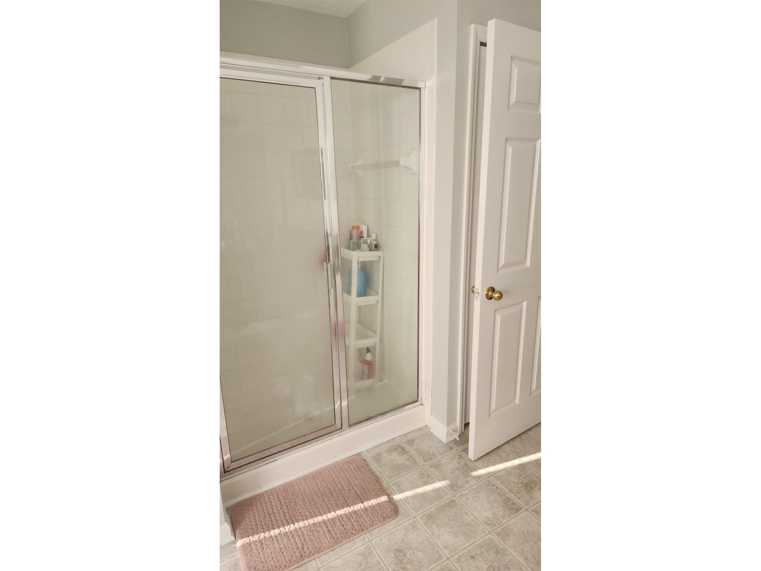 13561 Hawk Lake Drive Orlando FL 32837 S5151812 image19