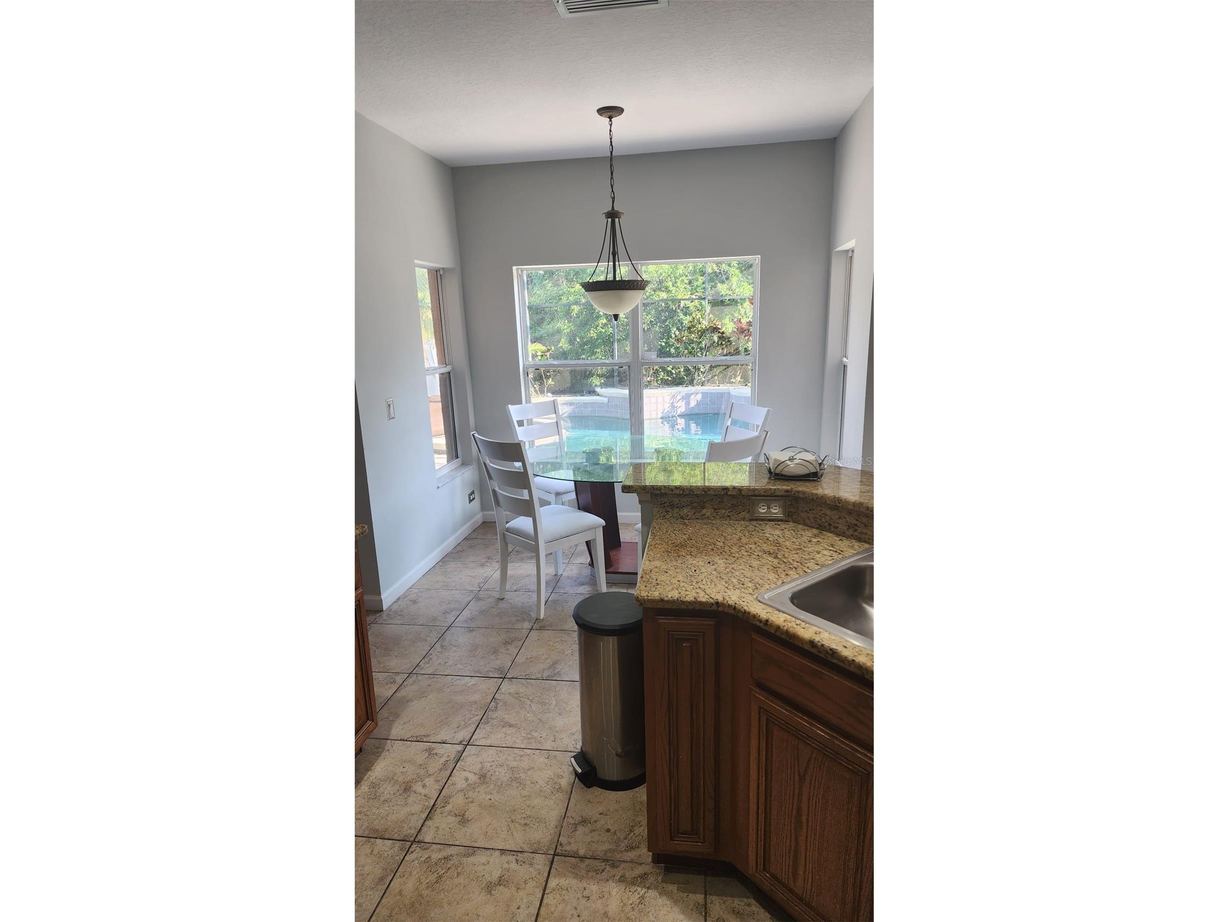 13561 Hawk Lake Drive Orlando FL 32837 S5151812 image4