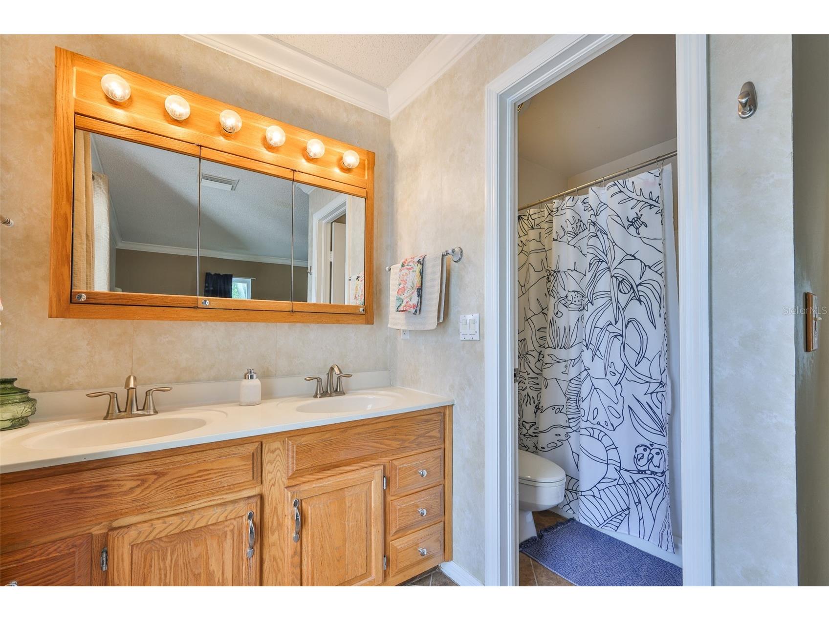 13562 Lake Magdalene Drive Tampa FL 33613 TB8418180 image23