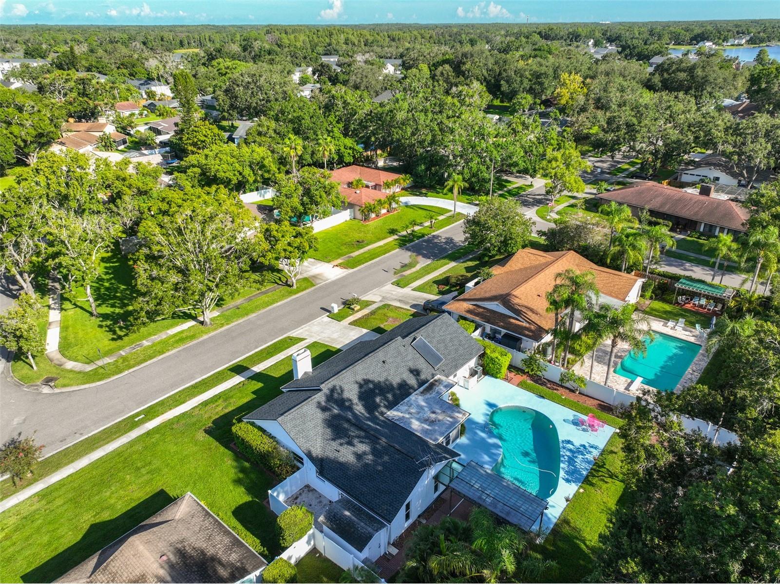 13562 Lake Magdalene Drive Tampa FL 33613 TB8418180 image41