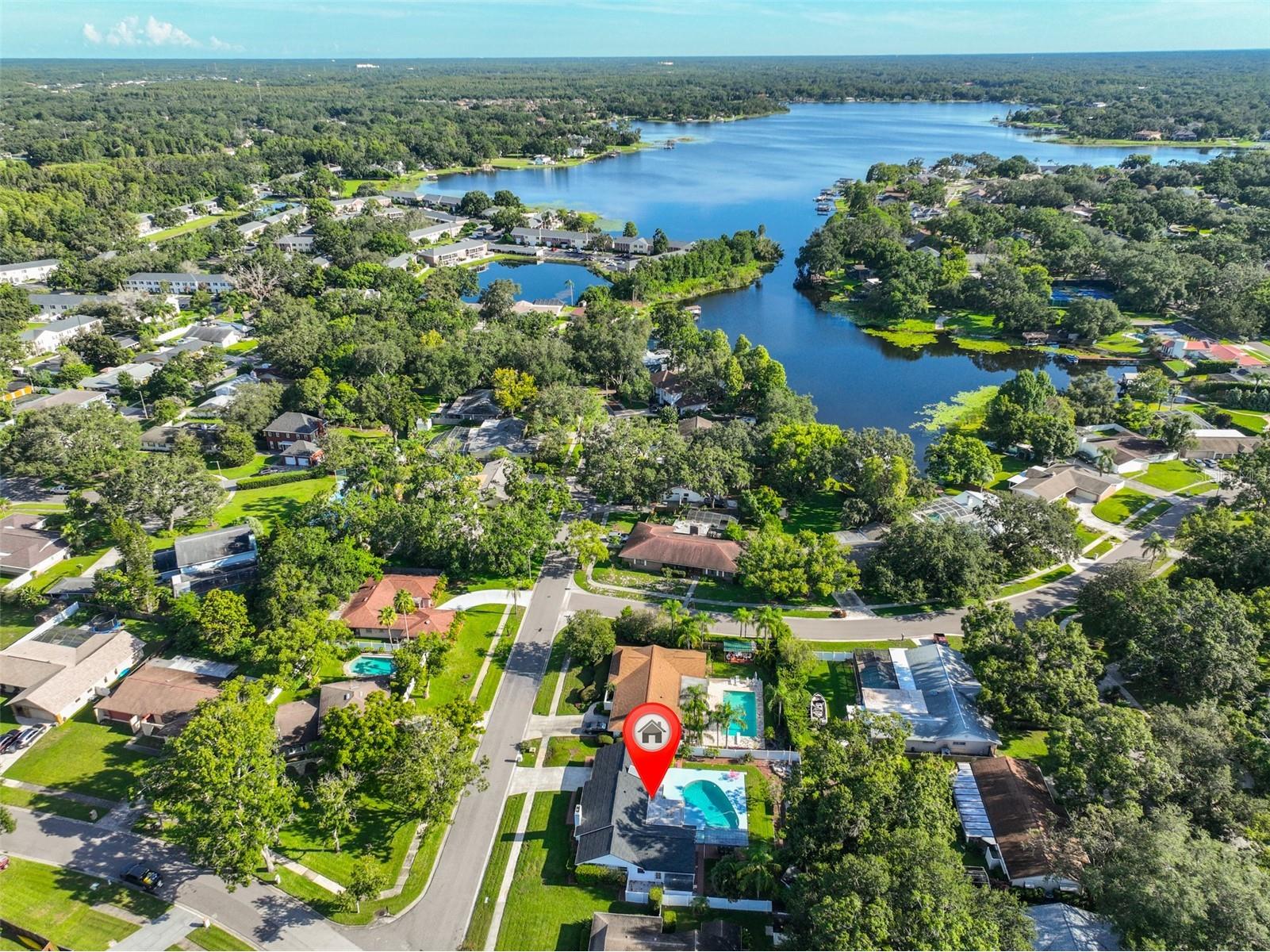 13562 Lake Magdalene Drive Tampa FL 33613 TB8418180 image43