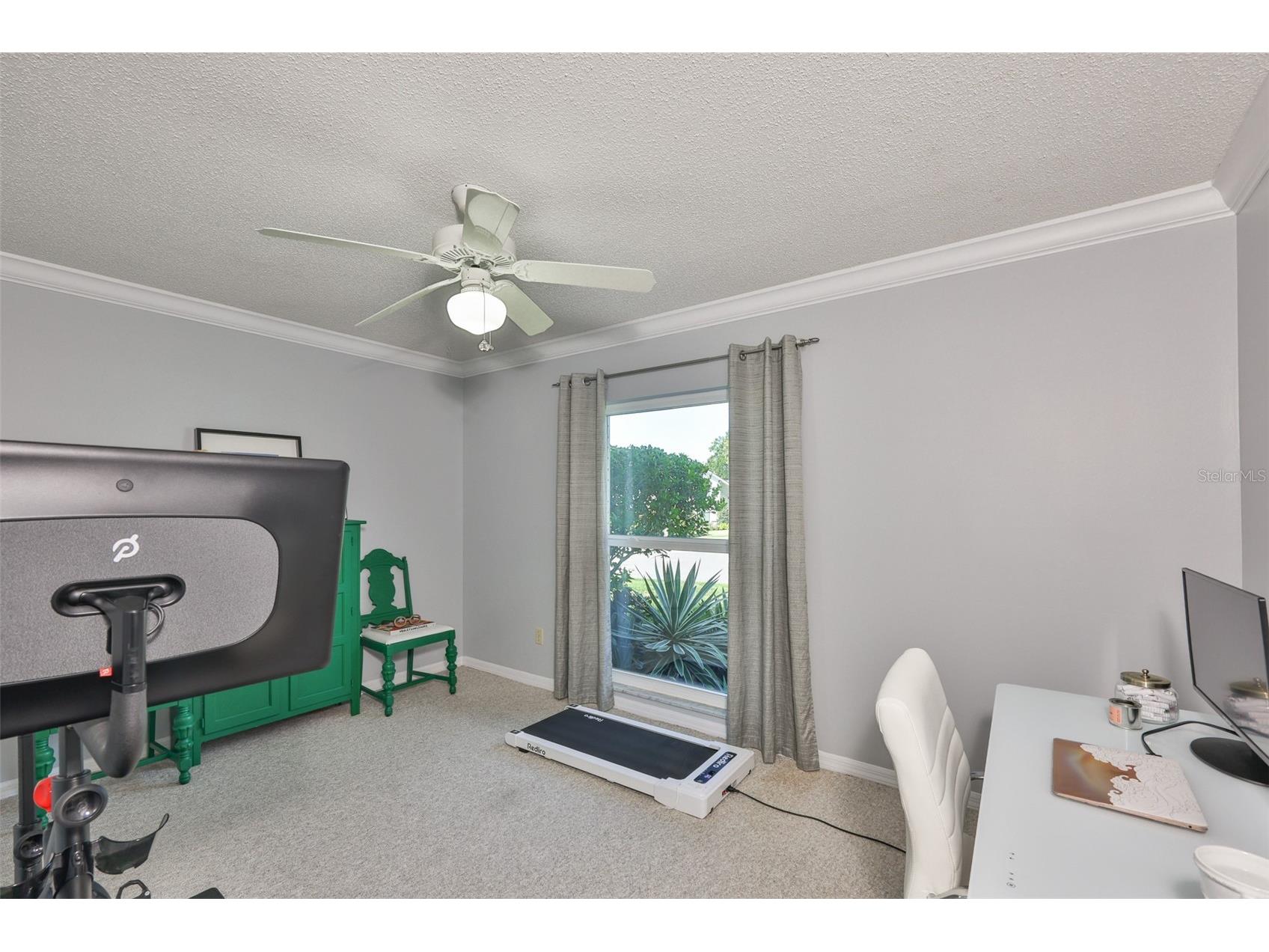 13562 Lake Magdalene Drive Tampa FL 33613 TB8418180 image44