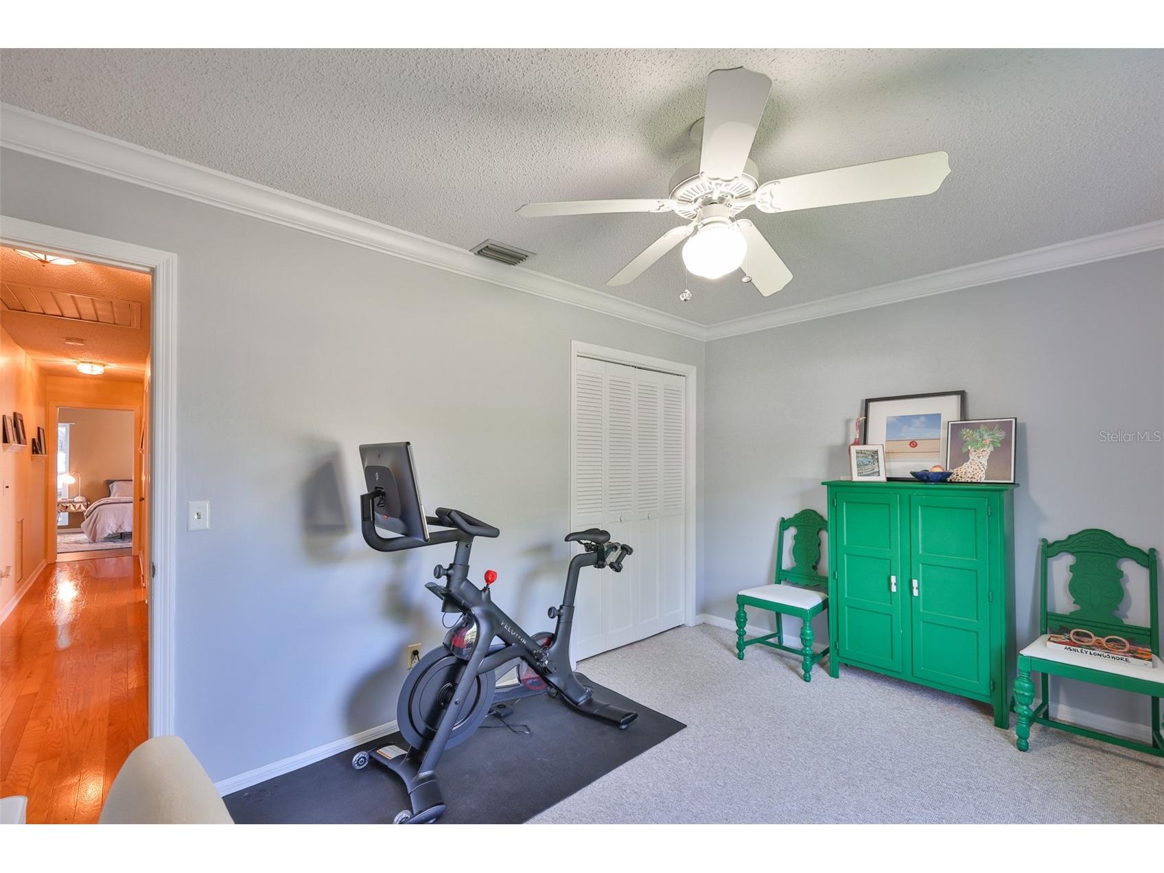 13562 Lake Magdalene Drive Tampa FL 33613 TB8418180 image52