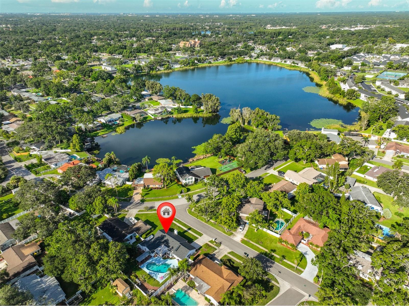 13562 Lake Magdalene Drive Tampa FL 33613 TB8418180 image53