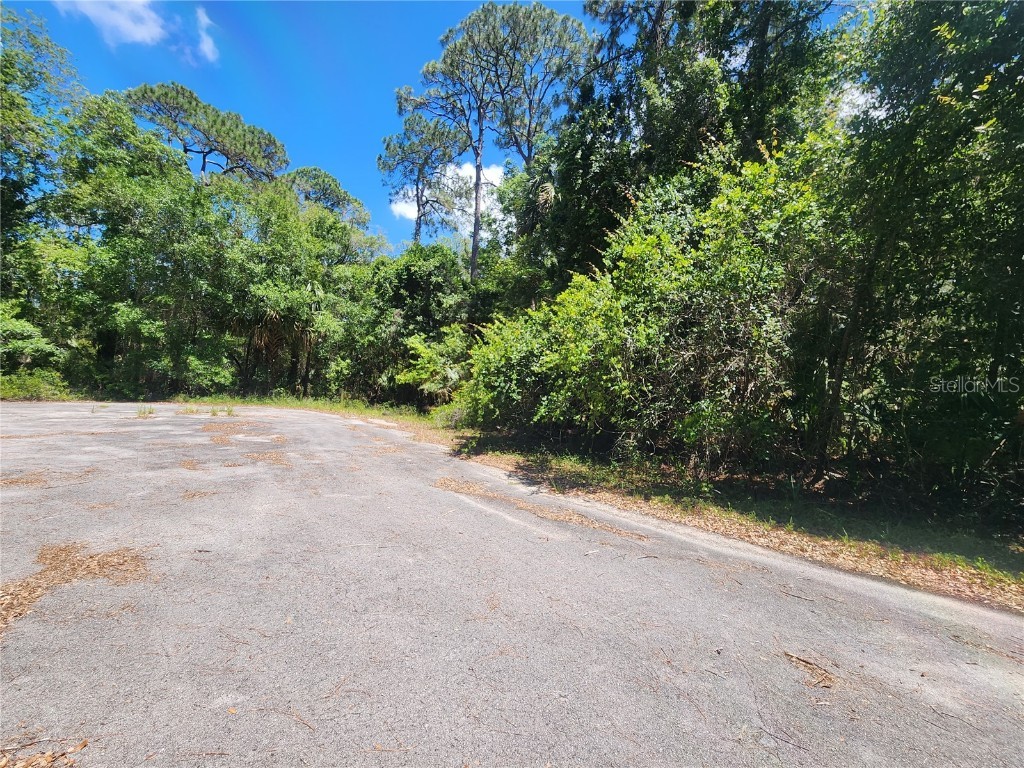 13562 W Trefoil Court Crystal River FL 34428 OM659416 image1