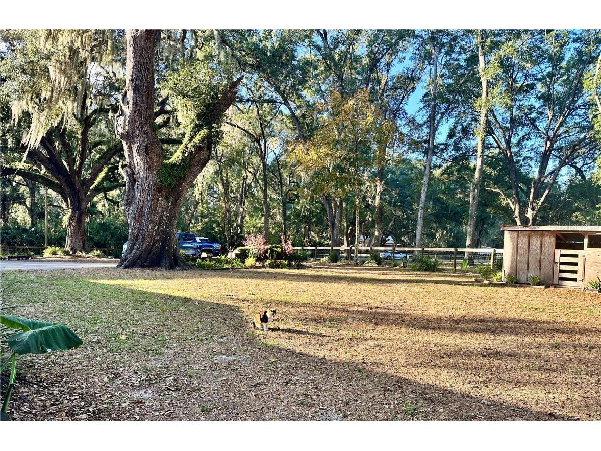 13565 NE 38th Avenue Anthony FL 32617 OM714987 image26