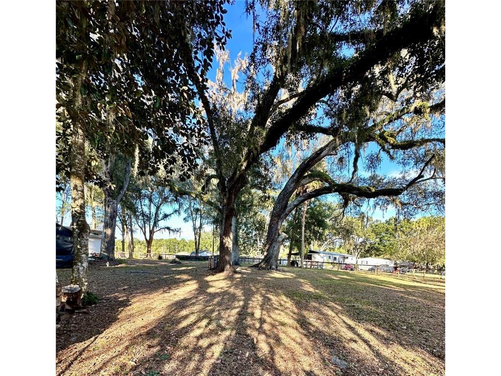 13565 NE 38th Avenue Anthony FL 32617 OM714987 image27