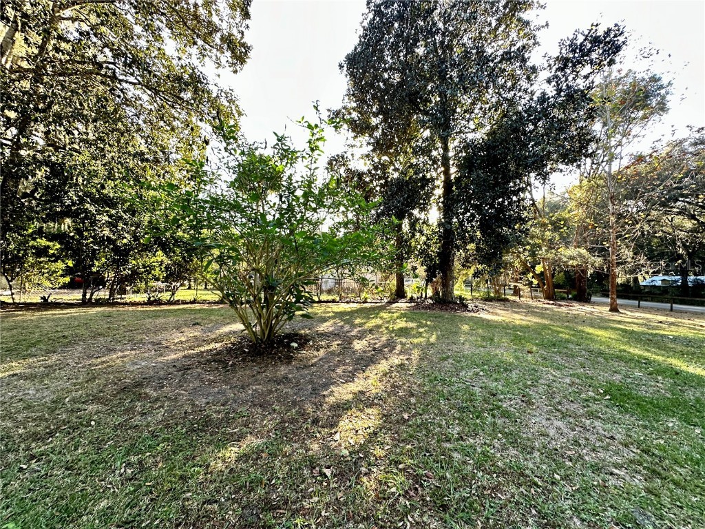 13565 NE 38th Avenue Anthony FL 32617 OM714987 image37